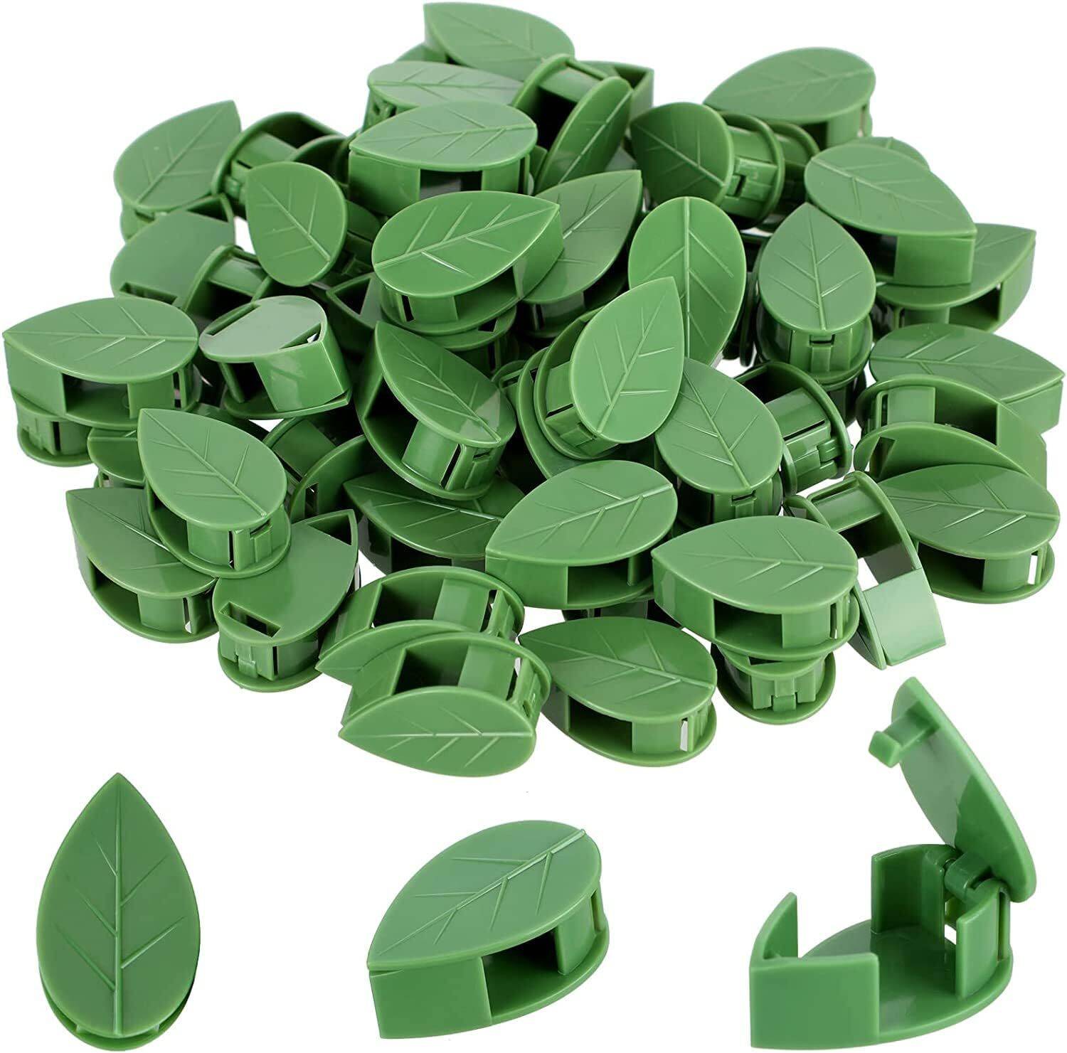 ANV Enterprise Wall Fixture Clips for Plant Climbing, Self-Adhesive Hook, Plant Straightener