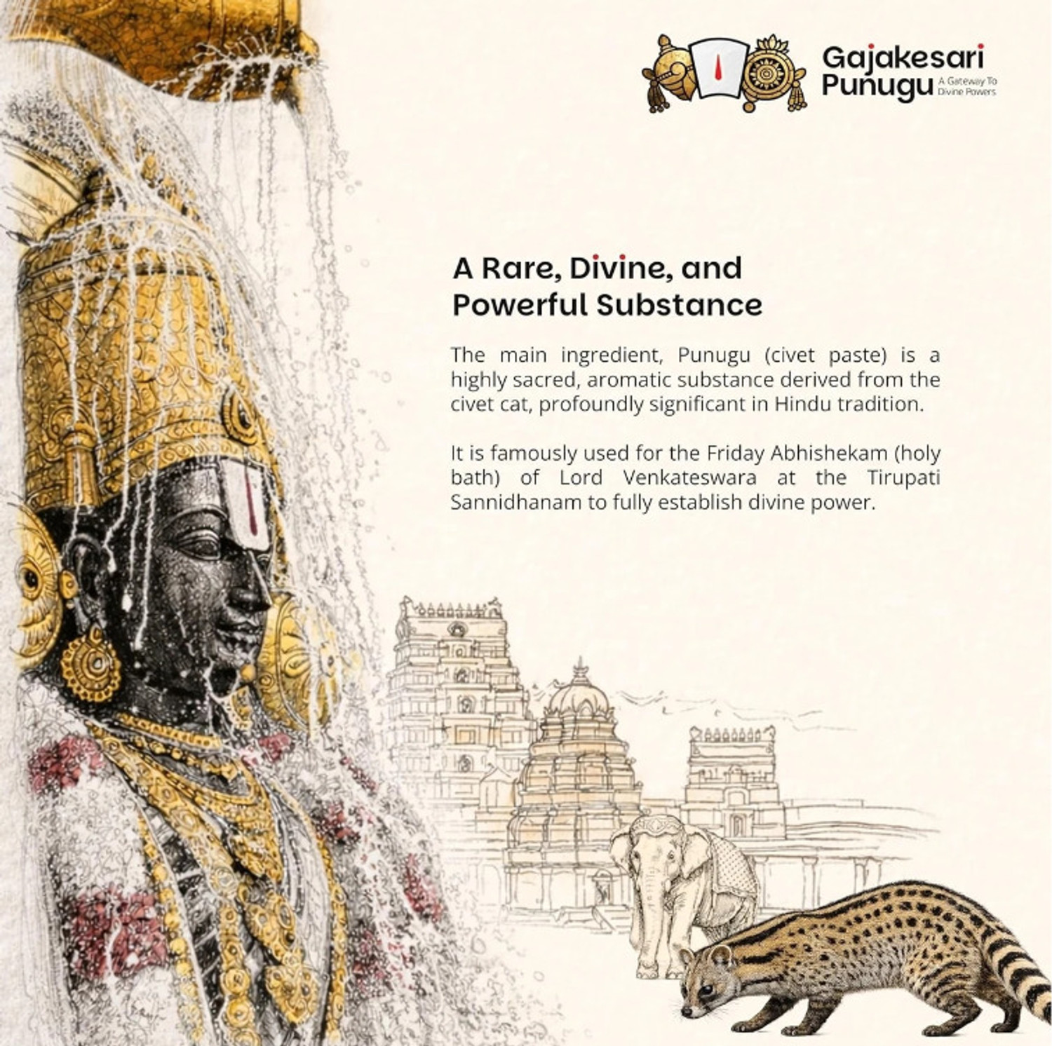 Image of gajakesari punugu Gajakesari-Punugu 5gm, PACK OF 1