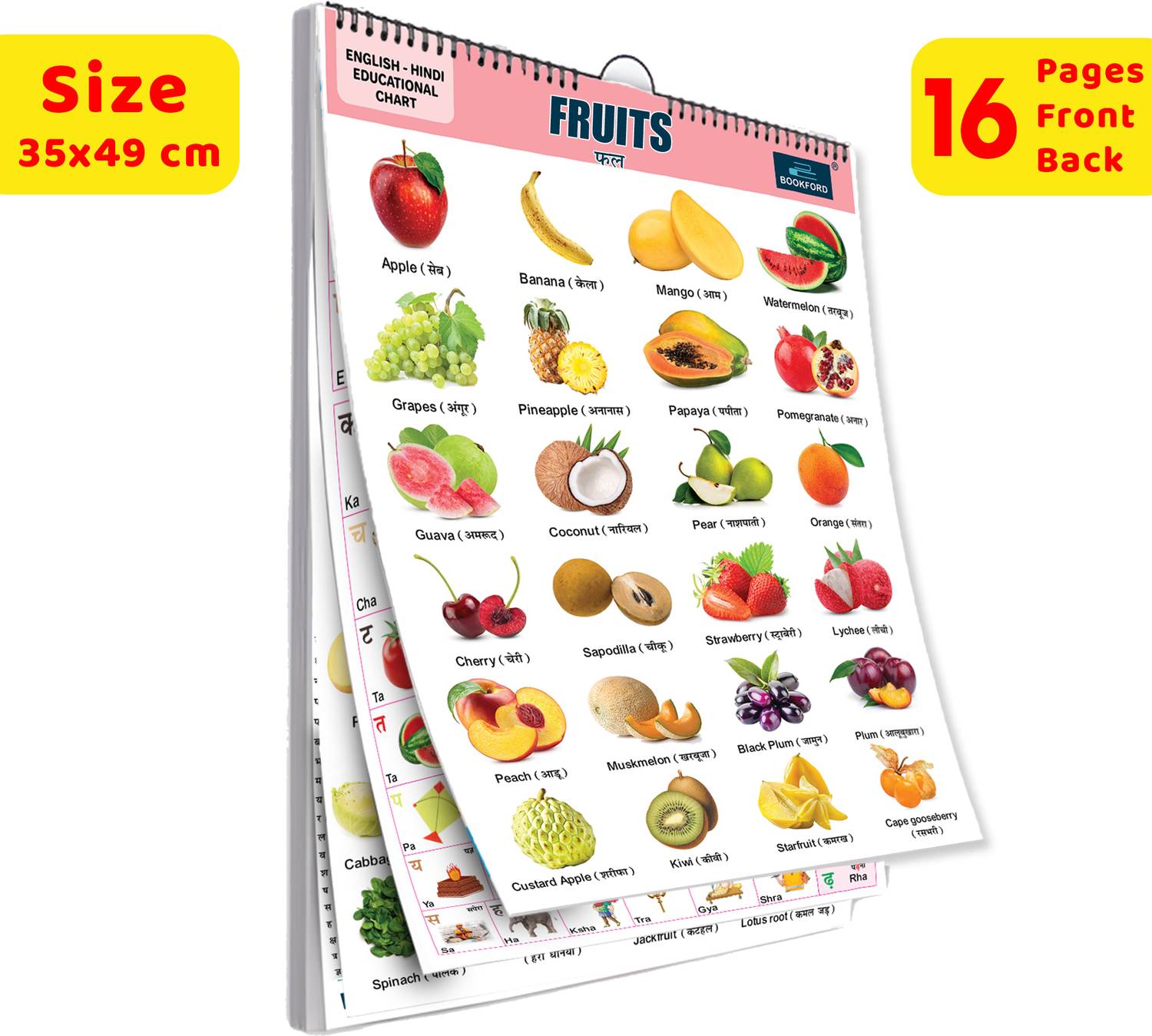 16 in 1 Fruits Educational Chart For Kids - Children Spiral Wall Picture Chart ( Big Fonts and Realistic Pictures) - Perfect for Gift Paper Print