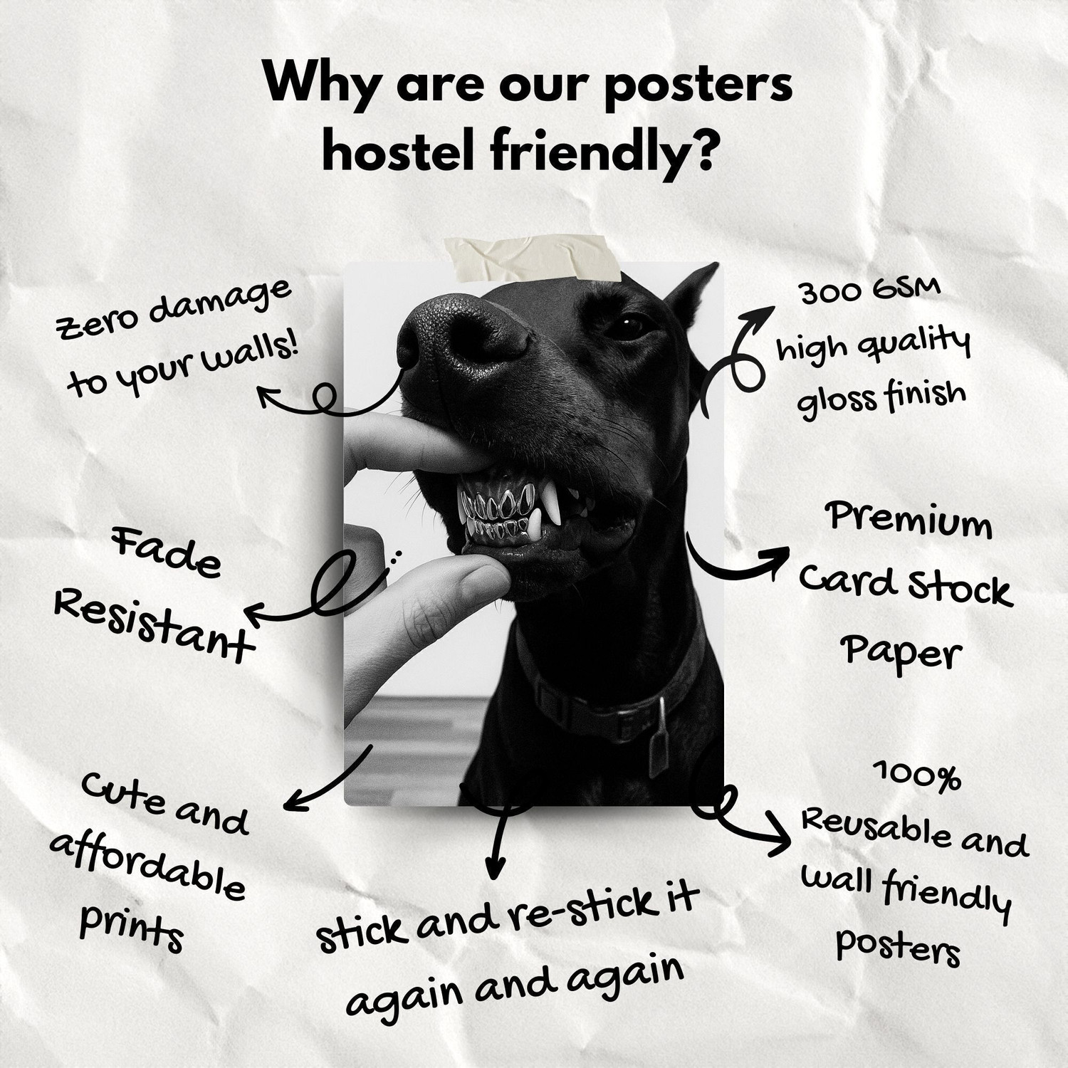 Image of Hip Hop Flo Wall Poster Kit- Set of 21 Multisized Posters (Four-A4, Eight-A5, Nine-A6) Paper Print
