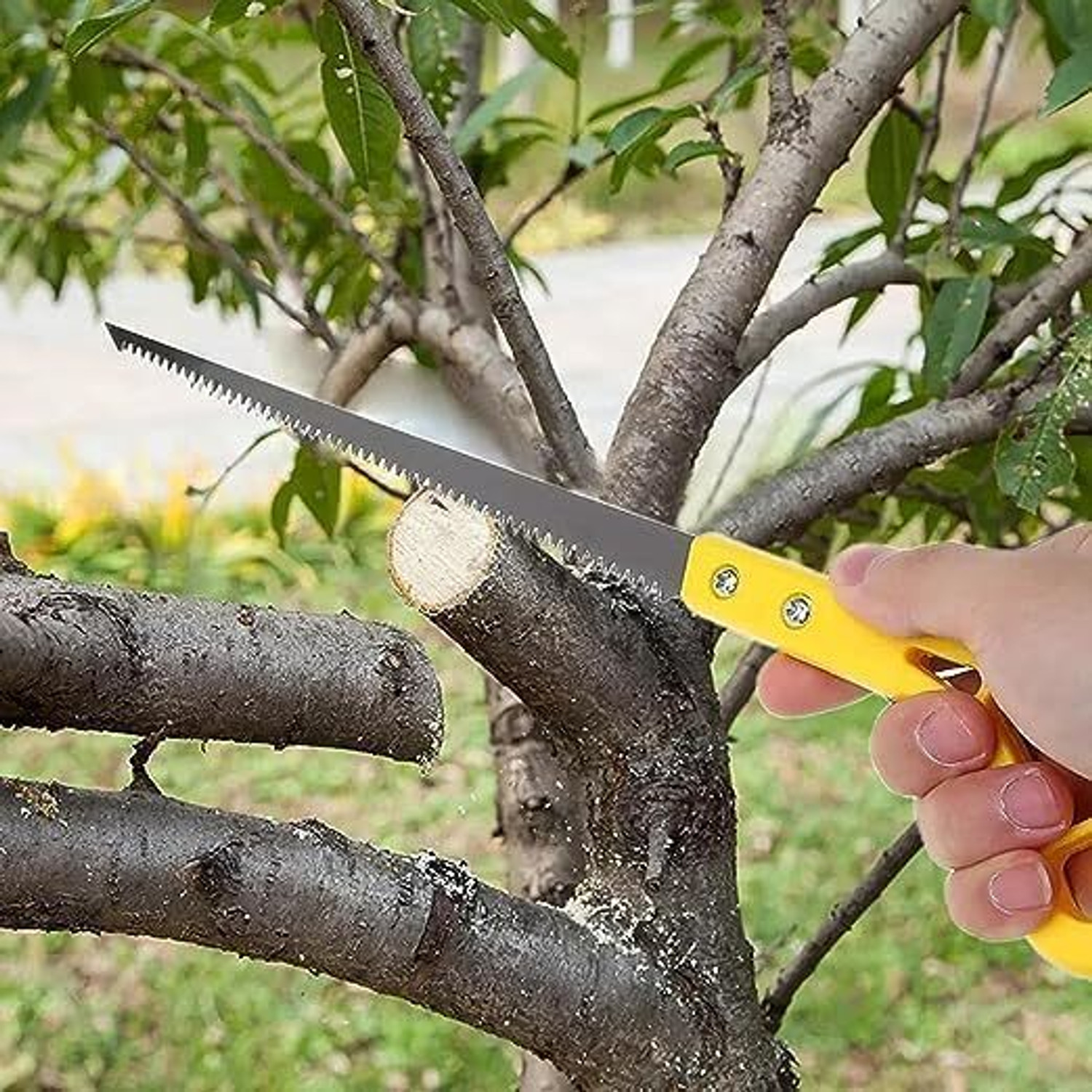 Image of BBBIKINI Hand Tool Kit