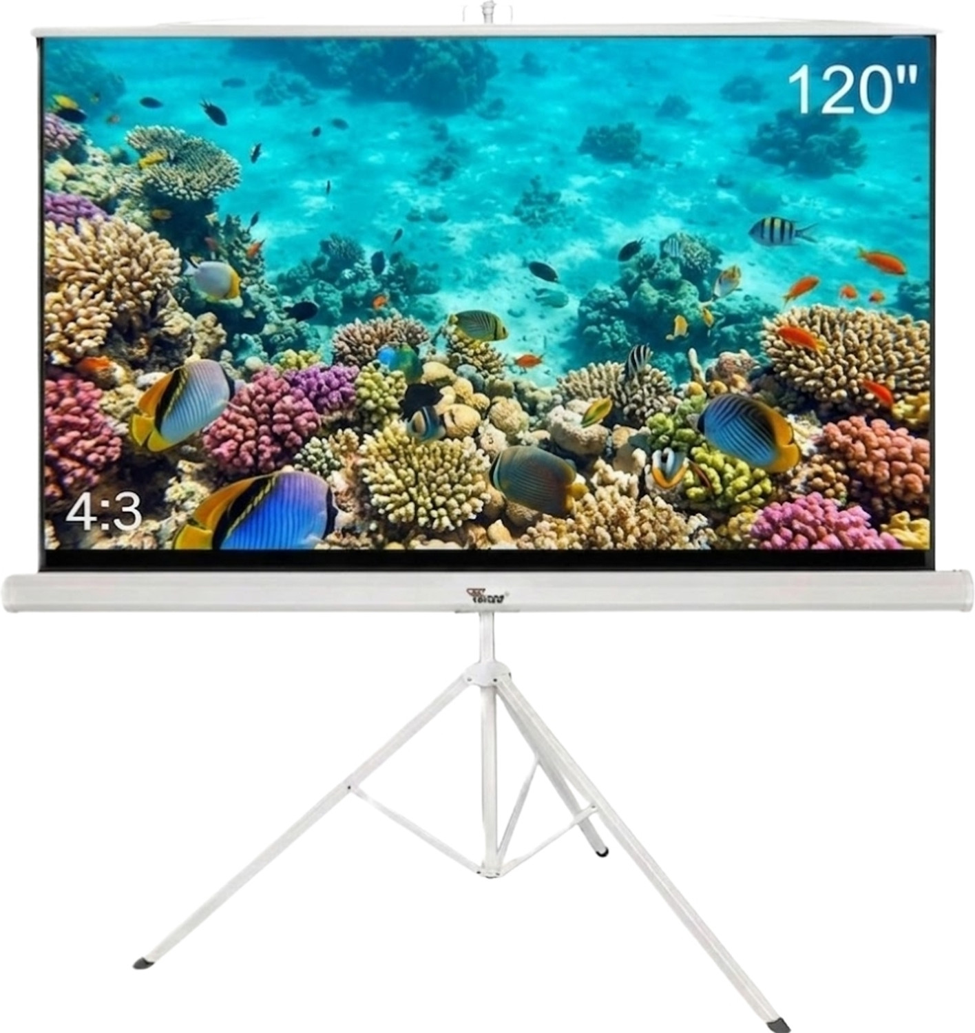 Image of TONZO 120 inch Tripod Projector Screen with Stand 4:3 Aspect Ratio, Matte White Projector Screen (Width 243.8 cm x 183 cm Height)