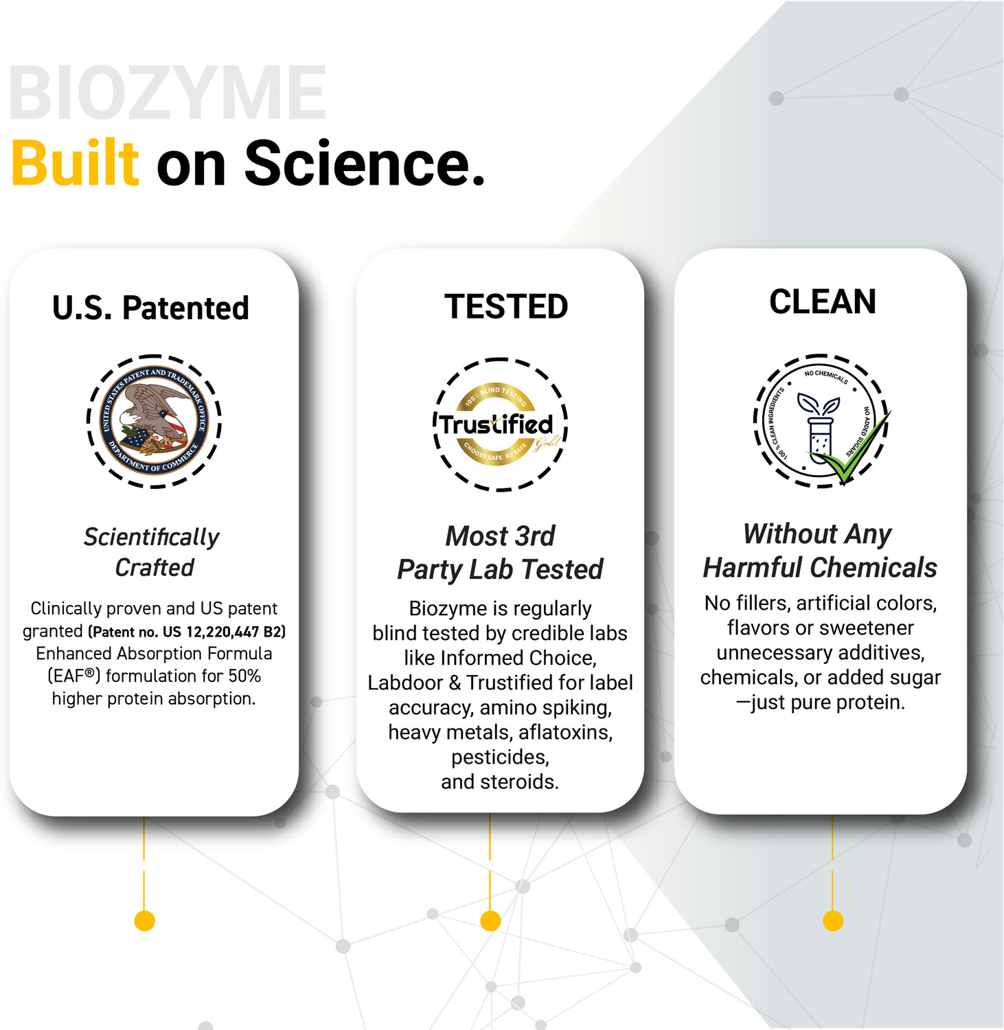 Image of MUSCLEBLAZE Biozyme Performance Whey Protein Powder, 25g Protein & Gym Steel Shaker Whey Protein