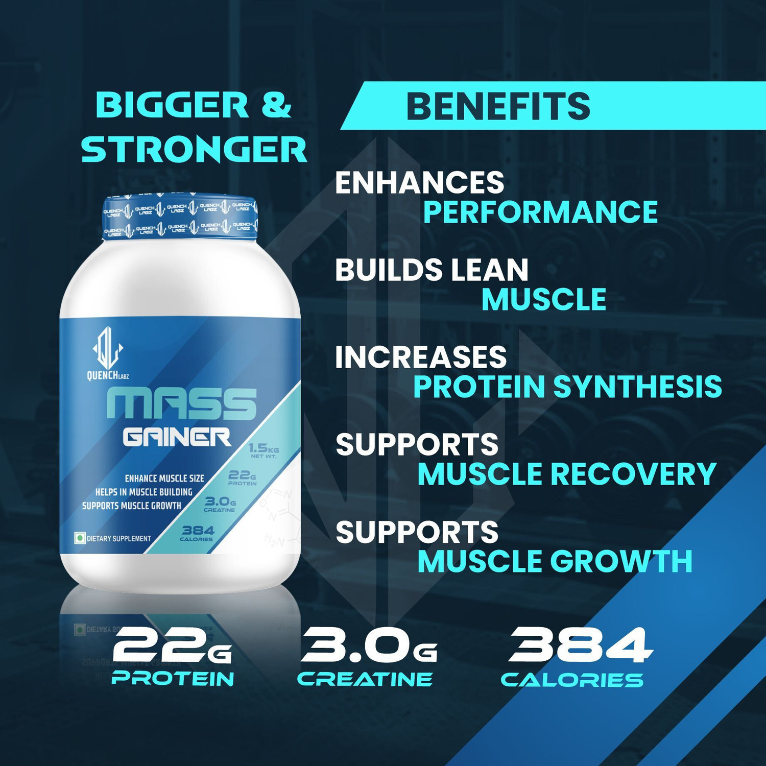 Image of QUENCHLABZ Mass Gainer | High-Calorie Protein Supplement for Weight Gain| Weight Gainers /Mass Gainers