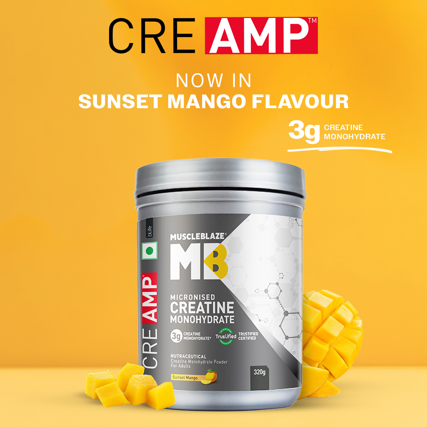 Image of MUSCLEBLAZE Micronised Creatine Monohydrate CreAMP, Trustified Certified & Gym Steel Shaker Creatine