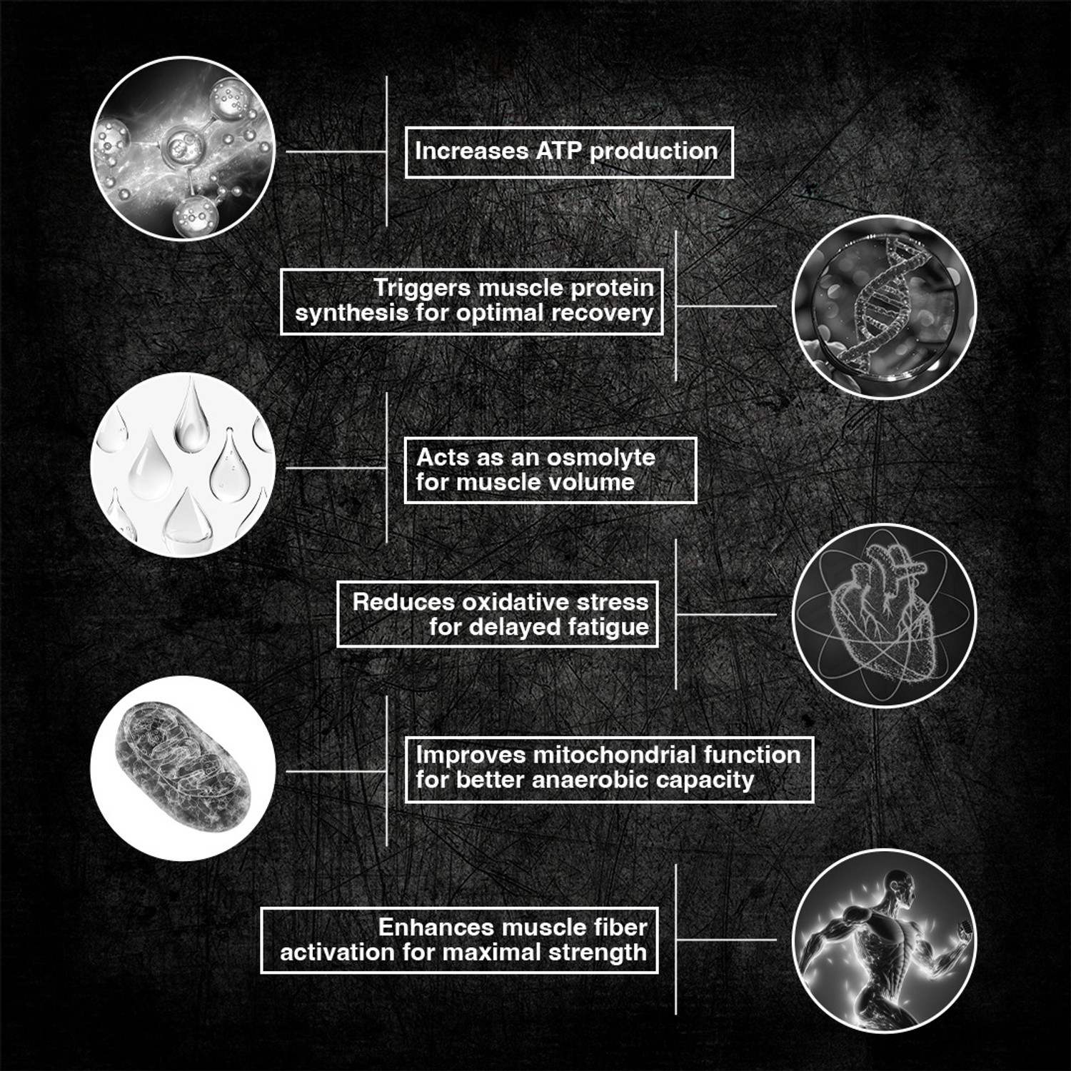 Image of BeastLife Creatine Monohydrate | 13 Servings | Micronised Creatine| NABL Lab Tested Creatine