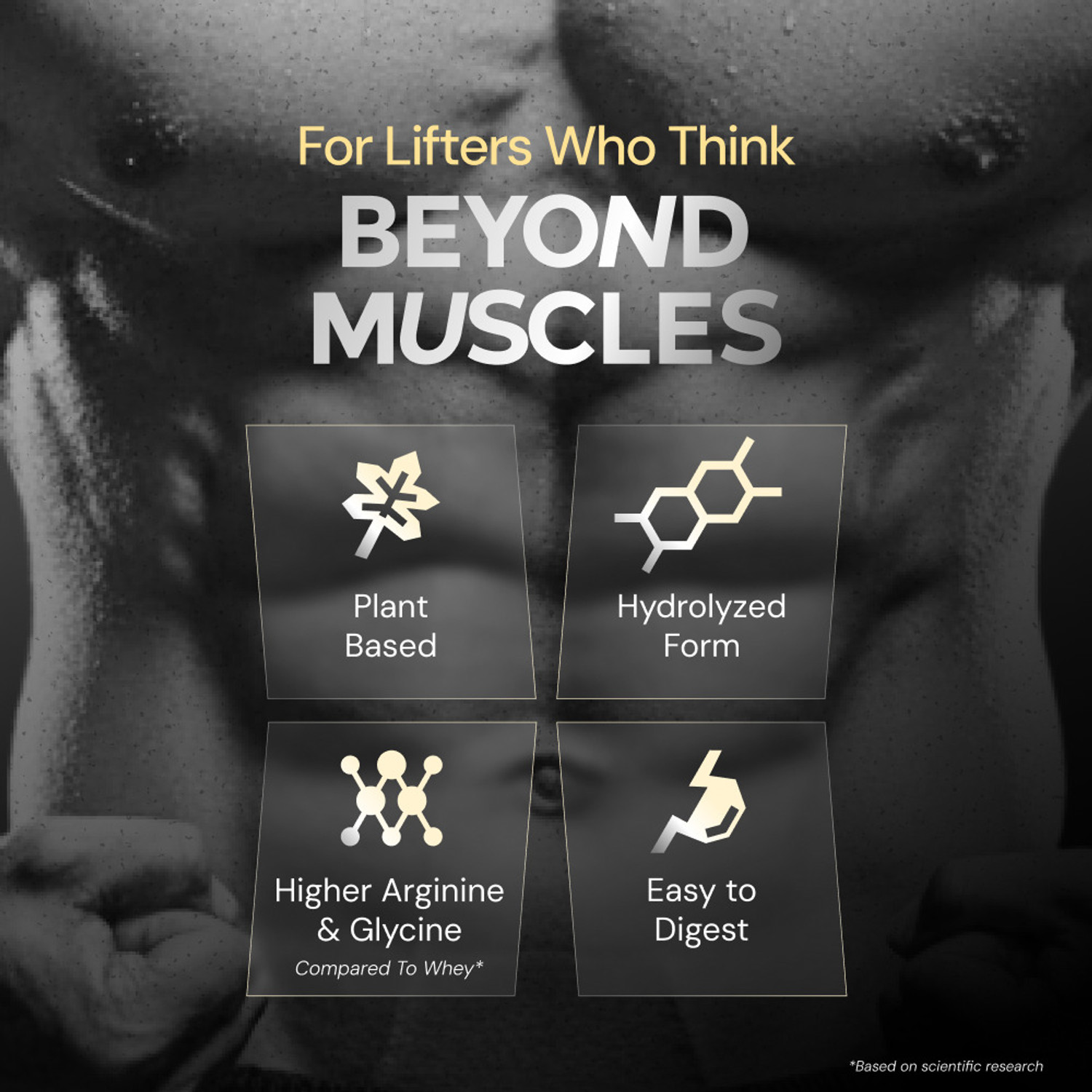 Image of Nutrabay Gold Pea Protein Plant-Based Protein