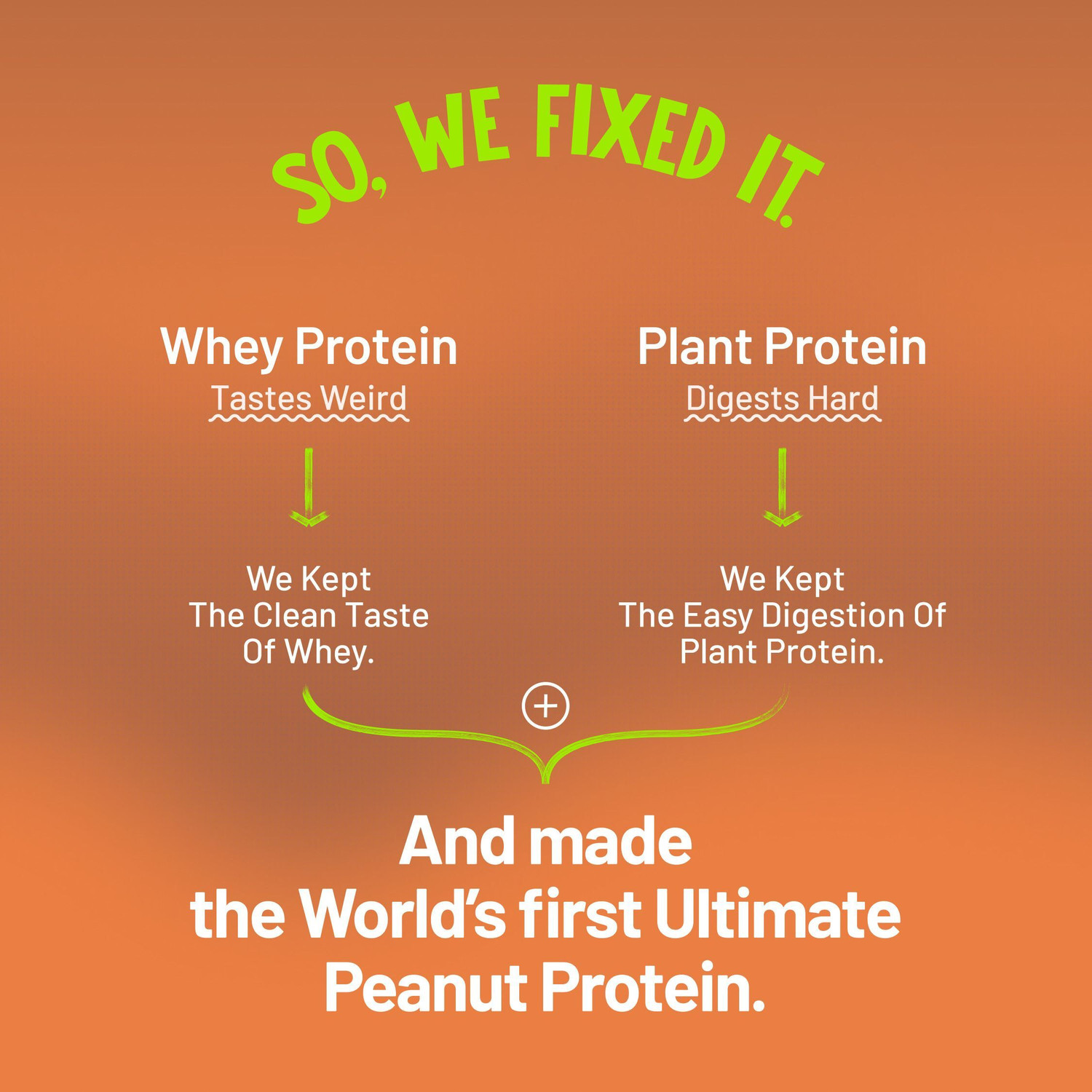 Image of ALPINO Supernatural Peanut Protein Powder Plant-Based Protein