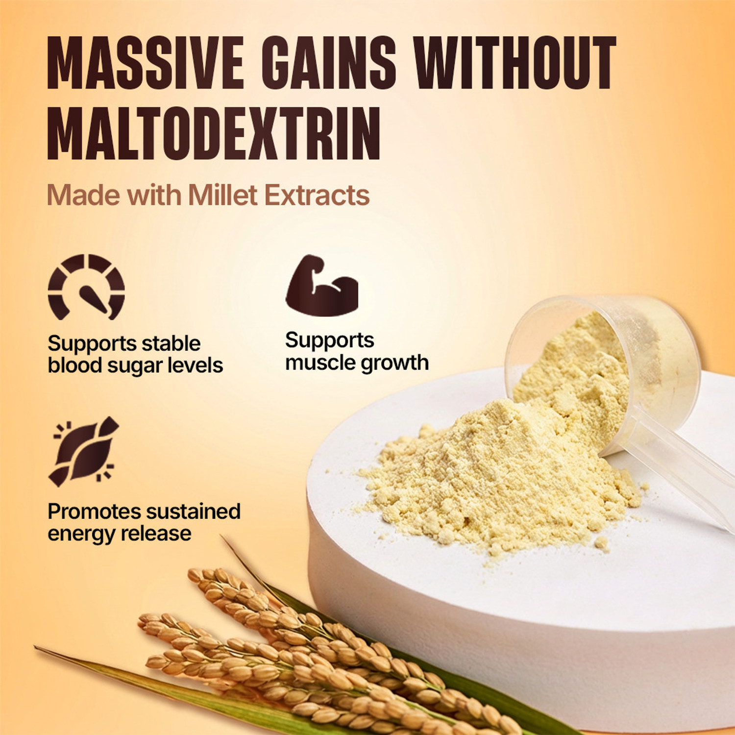 Image of BeastLife High Rich Protein Gainer - No Maltodextrin Weight Gainers /Mass Gainers
