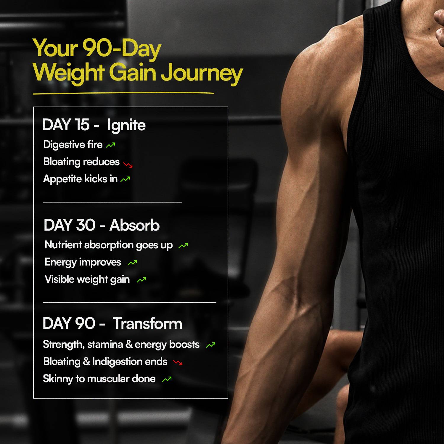 Ayuvya i-GAIN+ & Lets Gain Combo - Image 5