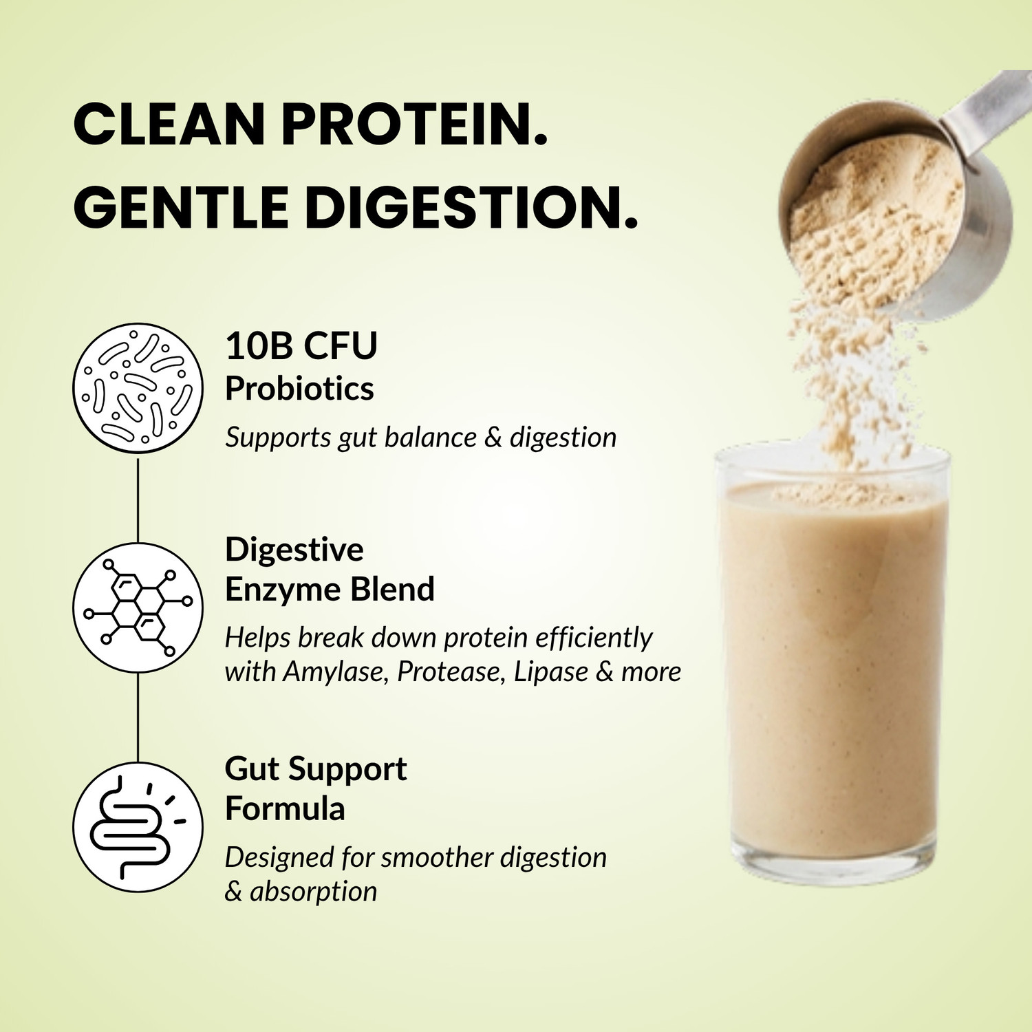 Image of Ayuvana Plant Protein Powder with Prebiotics & Probiotics Plant-Based Protein
