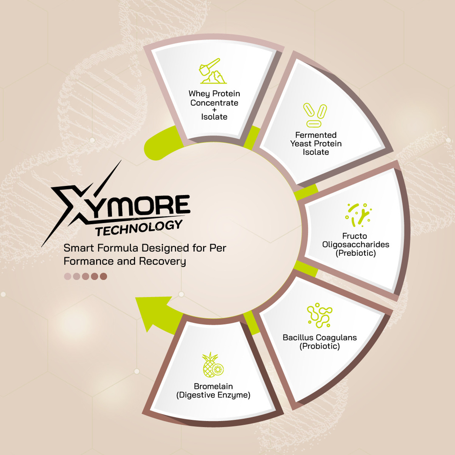 Image of BIGMUSCLES NUTRITION Whey Protein | 24g Whey Protein Concentrate + Isolate | 5g BCAA | Xymore Tech. Whey Protein