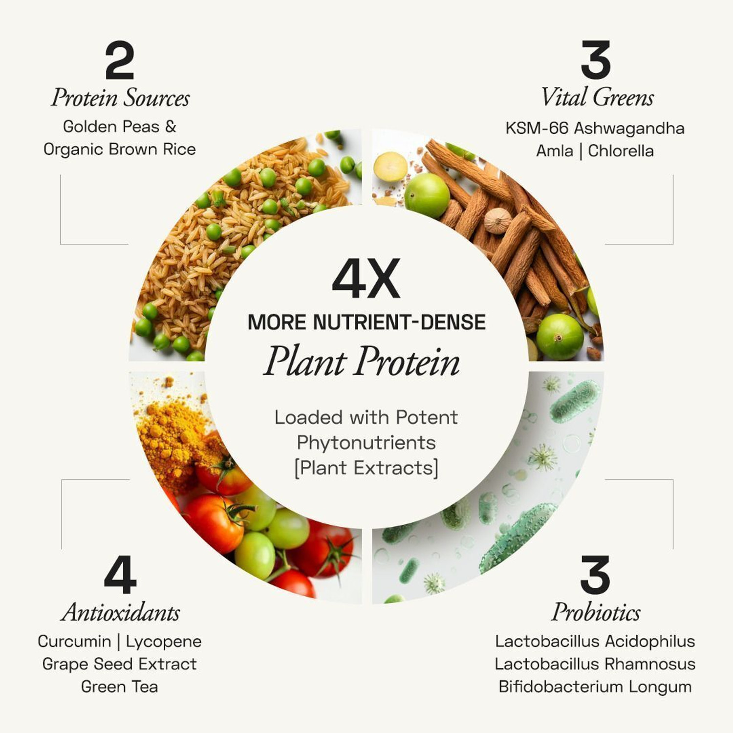 Image of Ace Blend Daily Plant Protein Powder | 20g Protein | With Greens, Antioxidants, Probiotics Plant-Based Protein