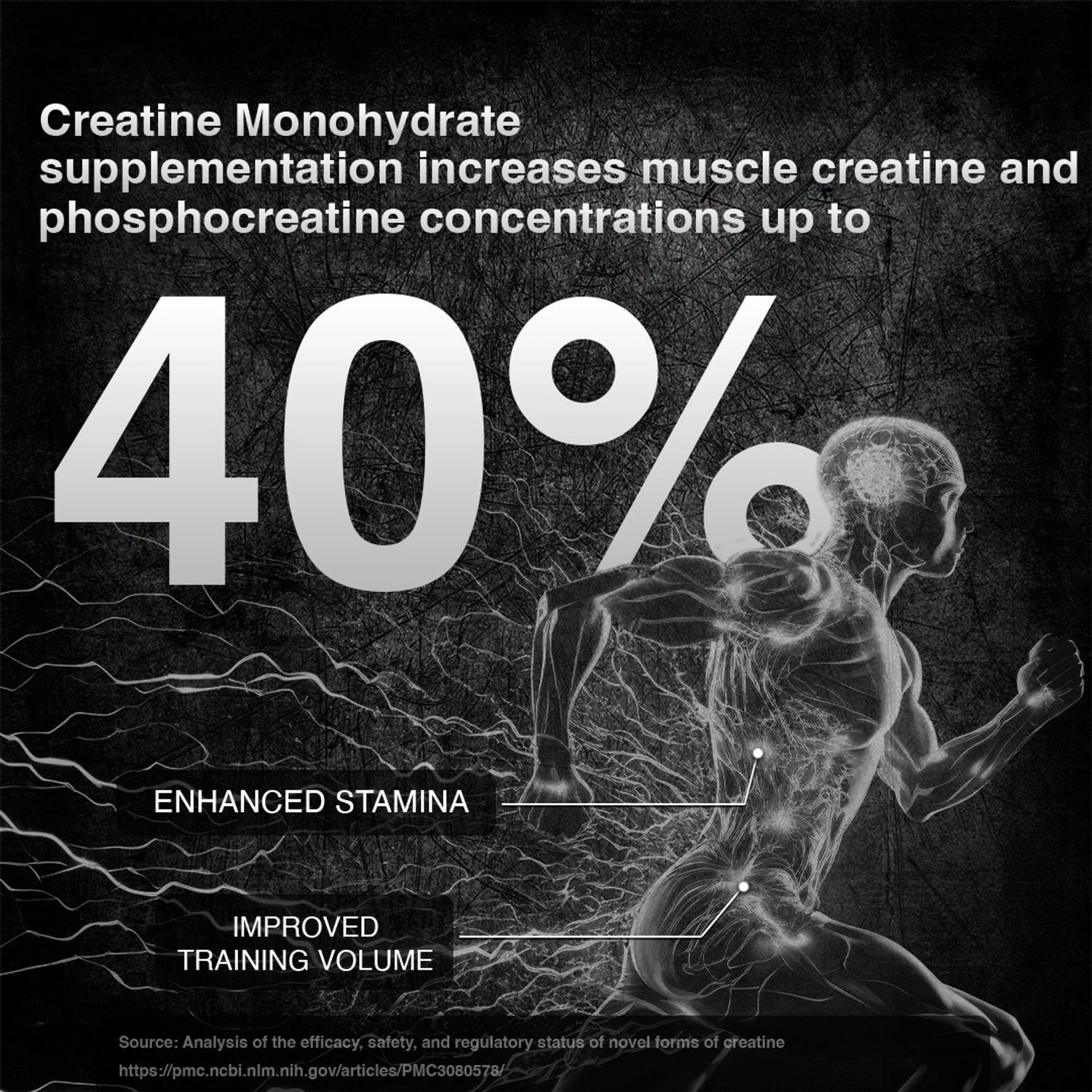 BeastLife Creatine Monohydrate 13 Servings - Image 5