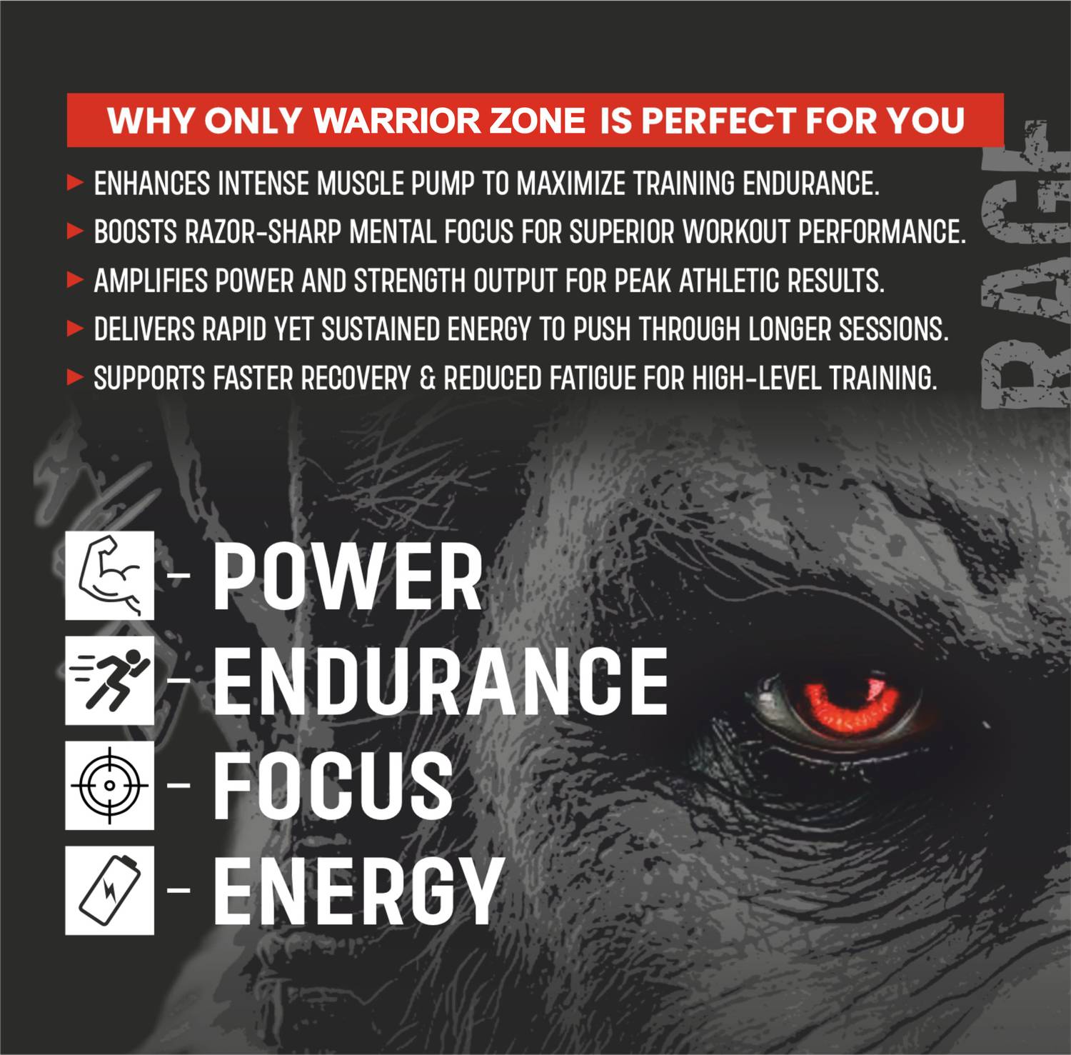 BIONIK Warrior Zone Preworkout - Image 4