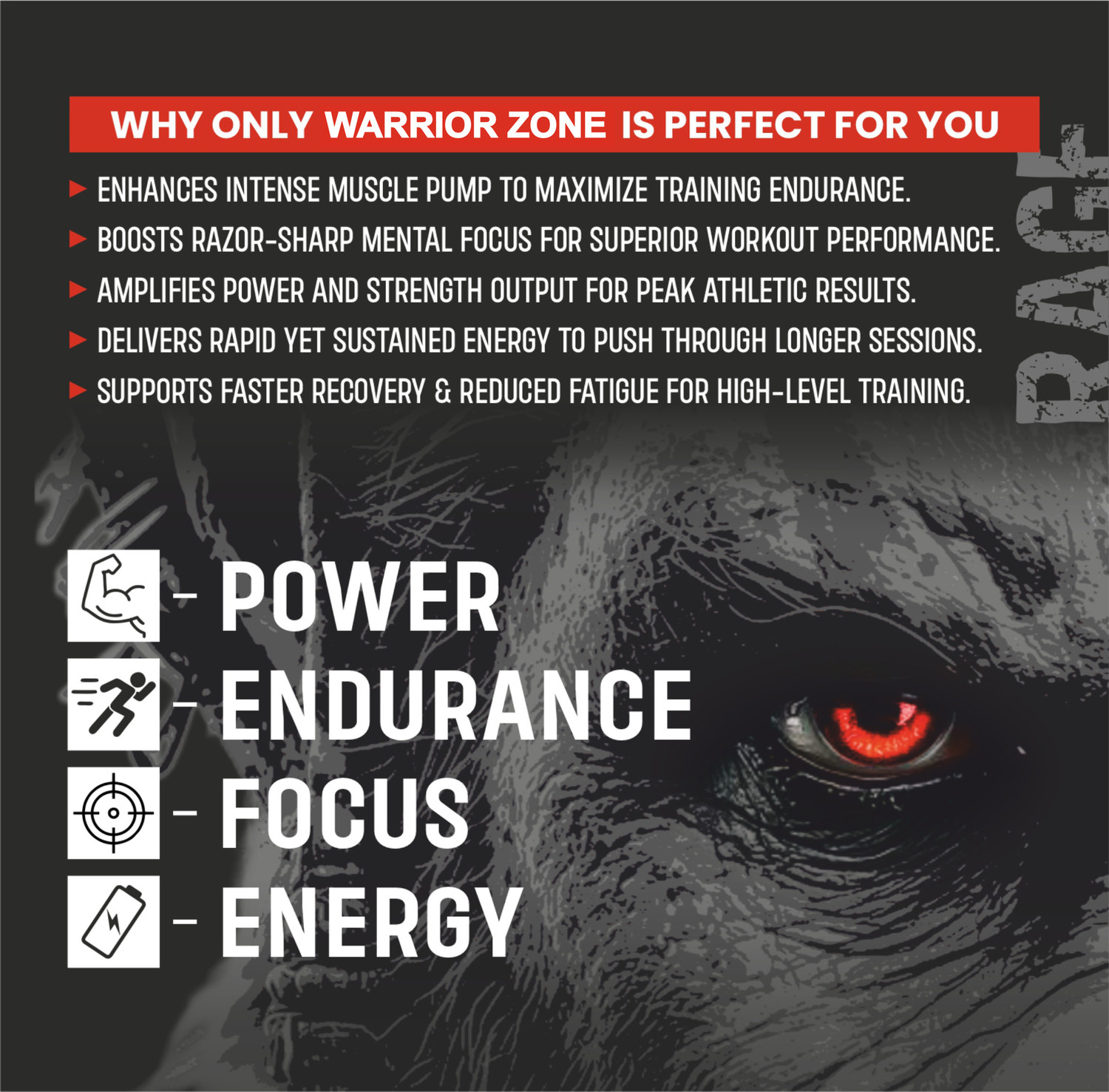 Image of BIONIK NUTRITION Warrior Zone Preworkout |For Pump, Focus, Energy, Strength & Endurance Pre Workout