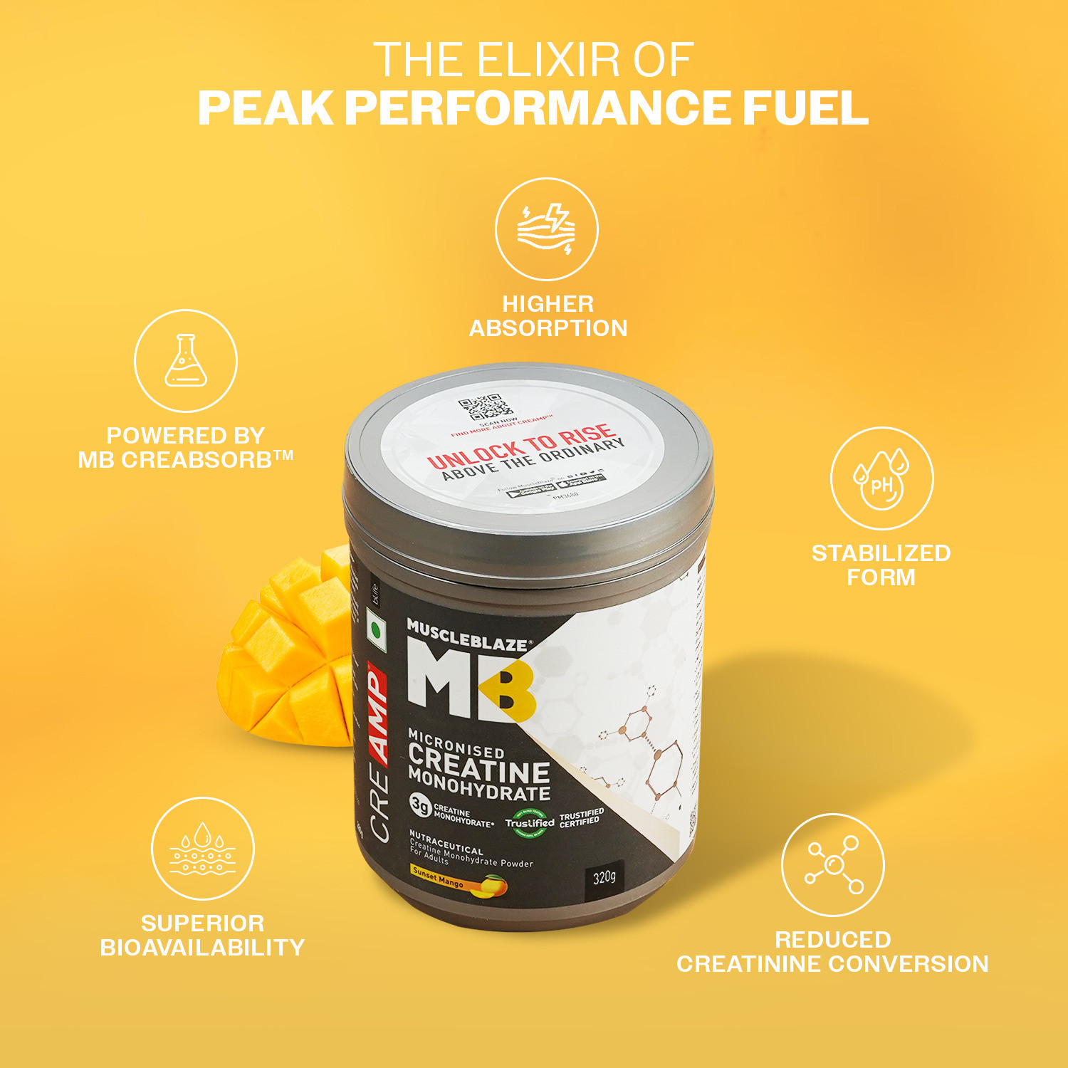 Image of MUSCLEBLAZE Micronised Creatine Monohydrate CreAMP, Trustified Certified & Gym Steel Shaker Creatine
