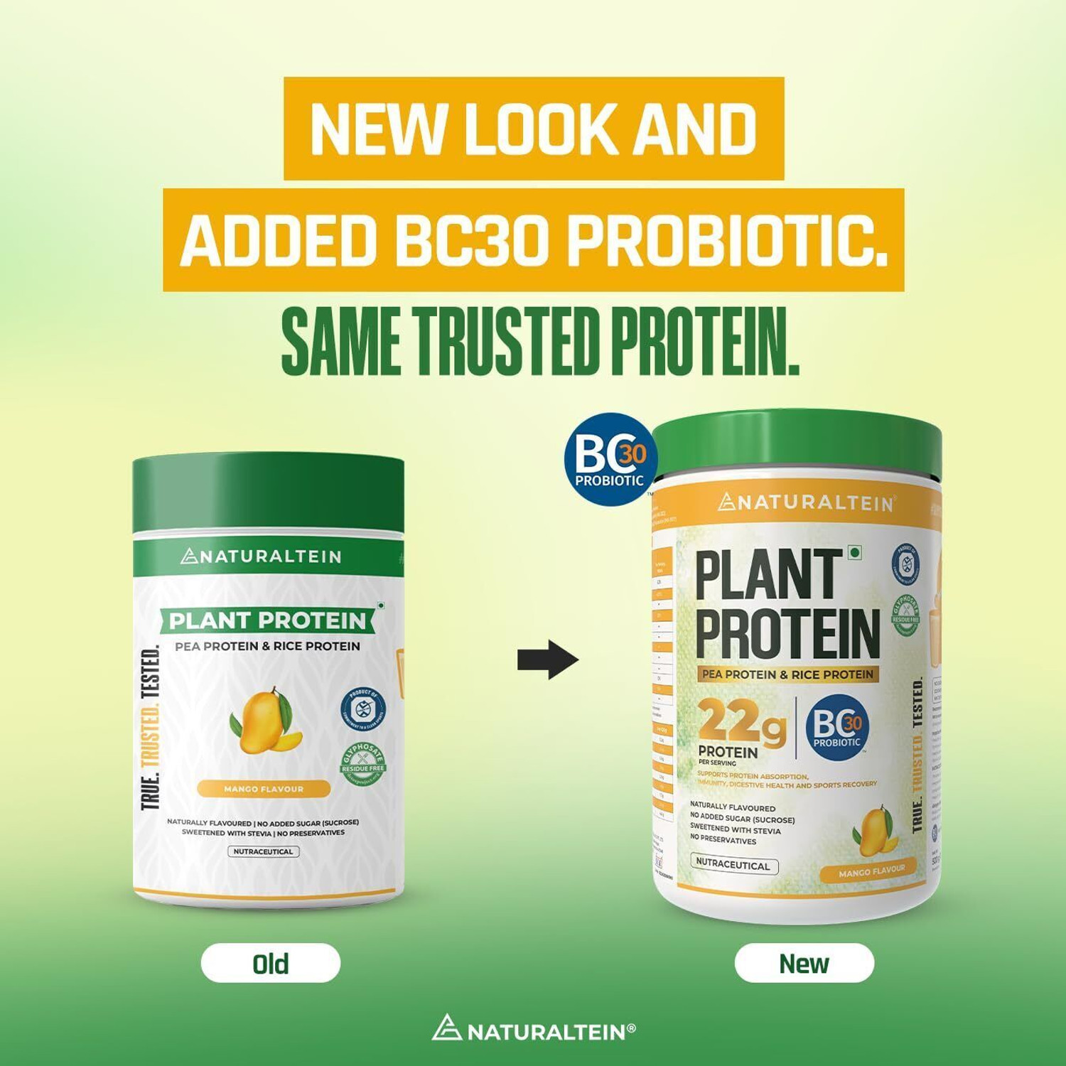 Image of NATURALTEIN Plant Protein - 22g Protein with BC30 Probiotic, No Sugar Plant-Based Protein