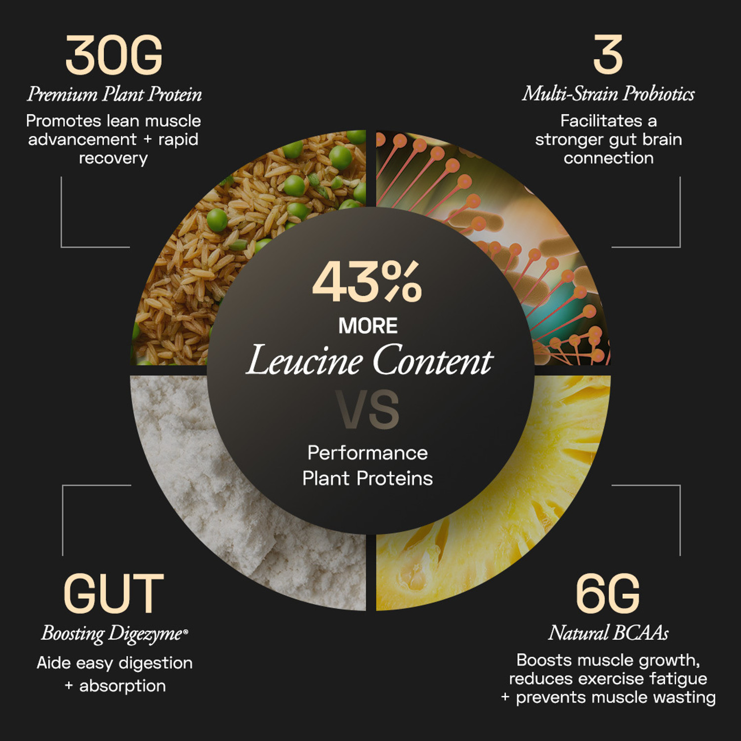 Image of Ace Blend INTENSE, 30G A-Grade Vegan Plant Protein Powder for Men & Women Plant-Based Protein