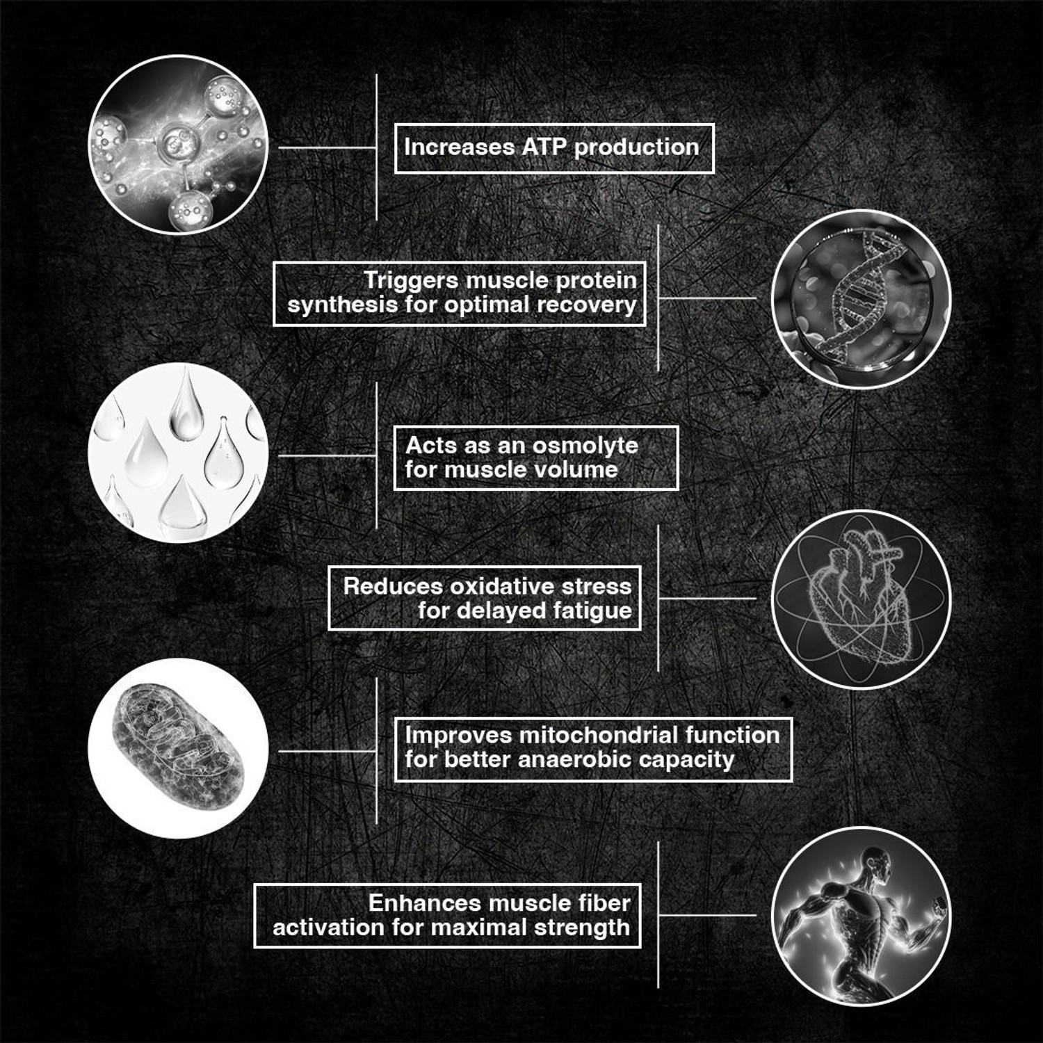 Image of BeastLife Creatine Monohydrate | 13 Servings | Micronised Creatine| NABL Lab Tested Creatine