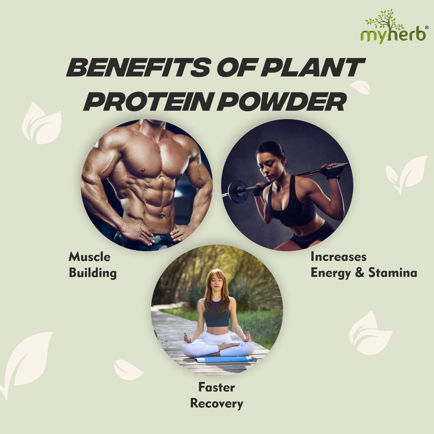 MYHERB Plant Protein Powder 500g - Image 4