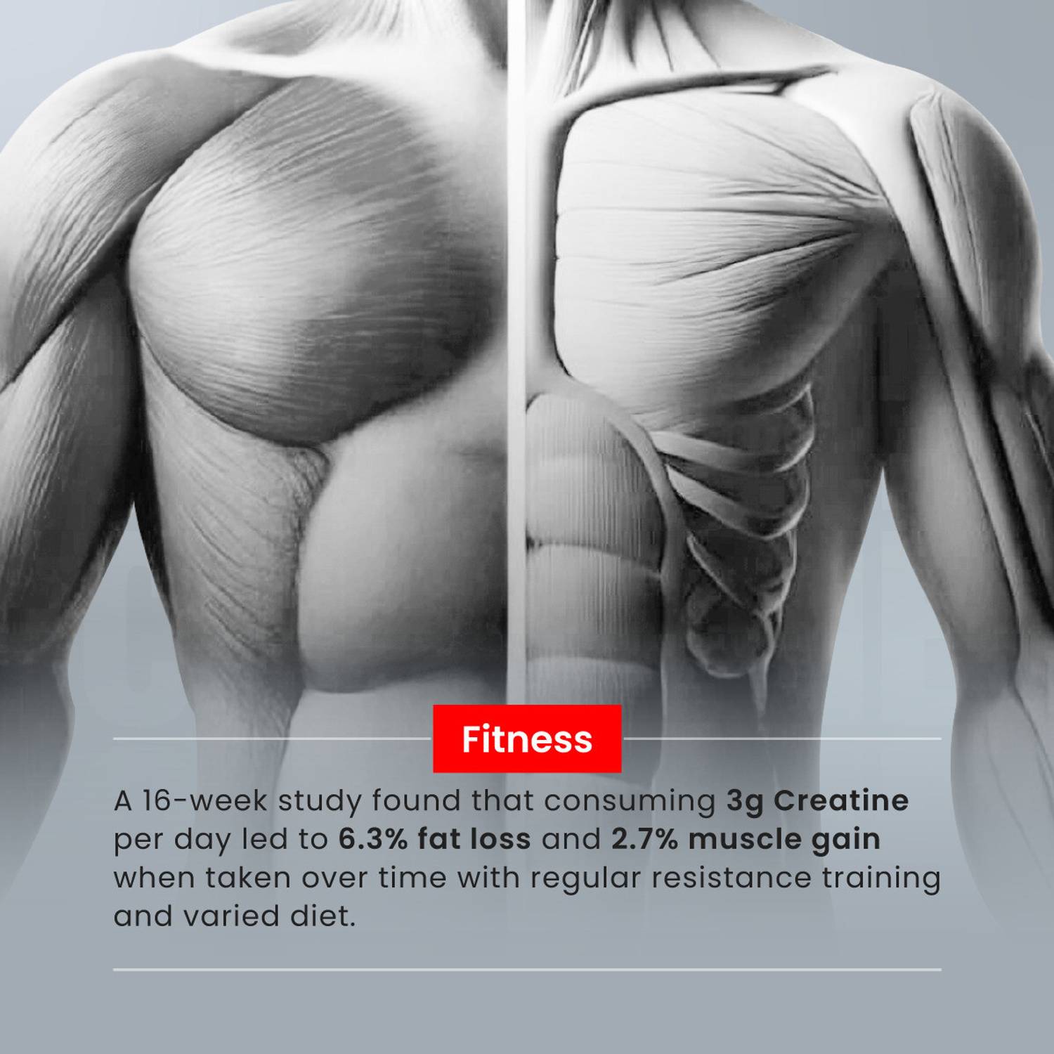 BIGMUSCLES Creatine Monohydrate 50 Servings - Image 5