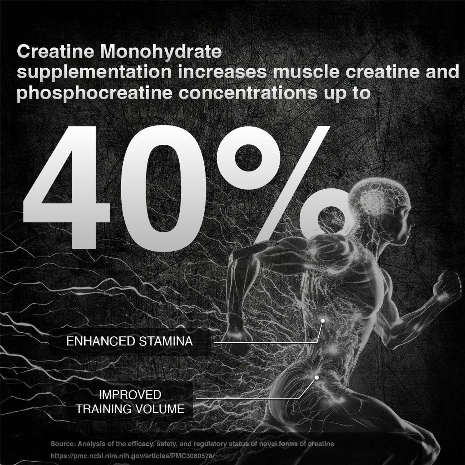 BeastLife Creatine Monohydrate 166 Servings Micronised - Image 4