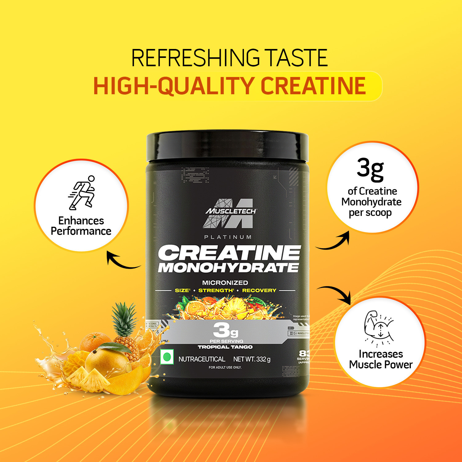 Image of Muscletech Platinum Creatine Monohydrate Micronized Powder | 3 g Creatine per Serving Creatine