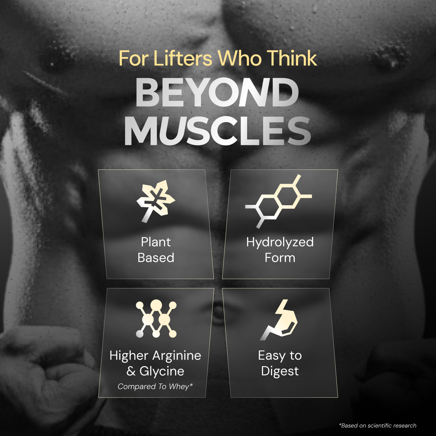 Image of Nutrabay Gold Pea Protein Powder | 25g Pea Protein, 4.6g BCAA, 5g Soluble Fiber Plant-Based Protein
