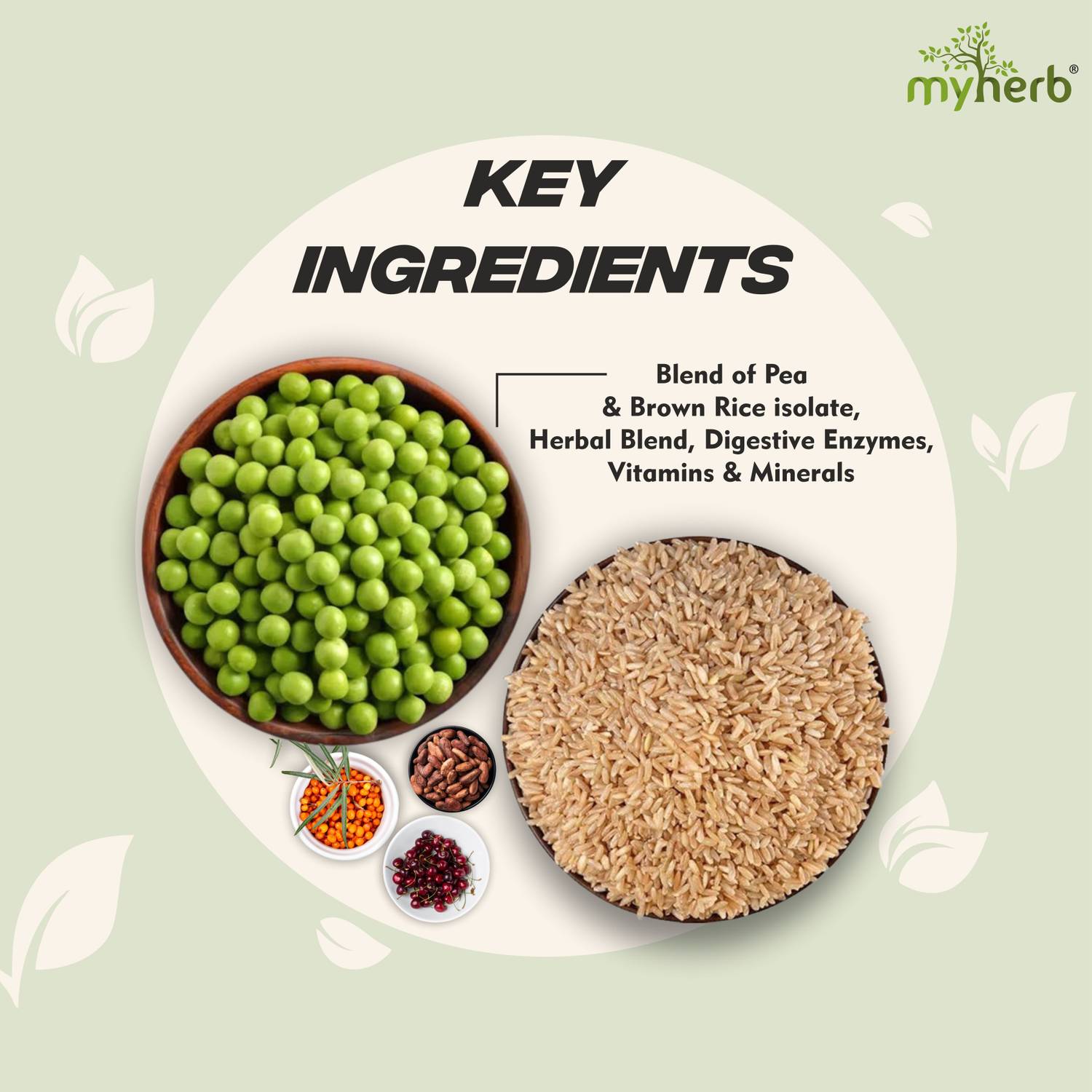 MYHERB Plant Protein Powder 500g - Image 3