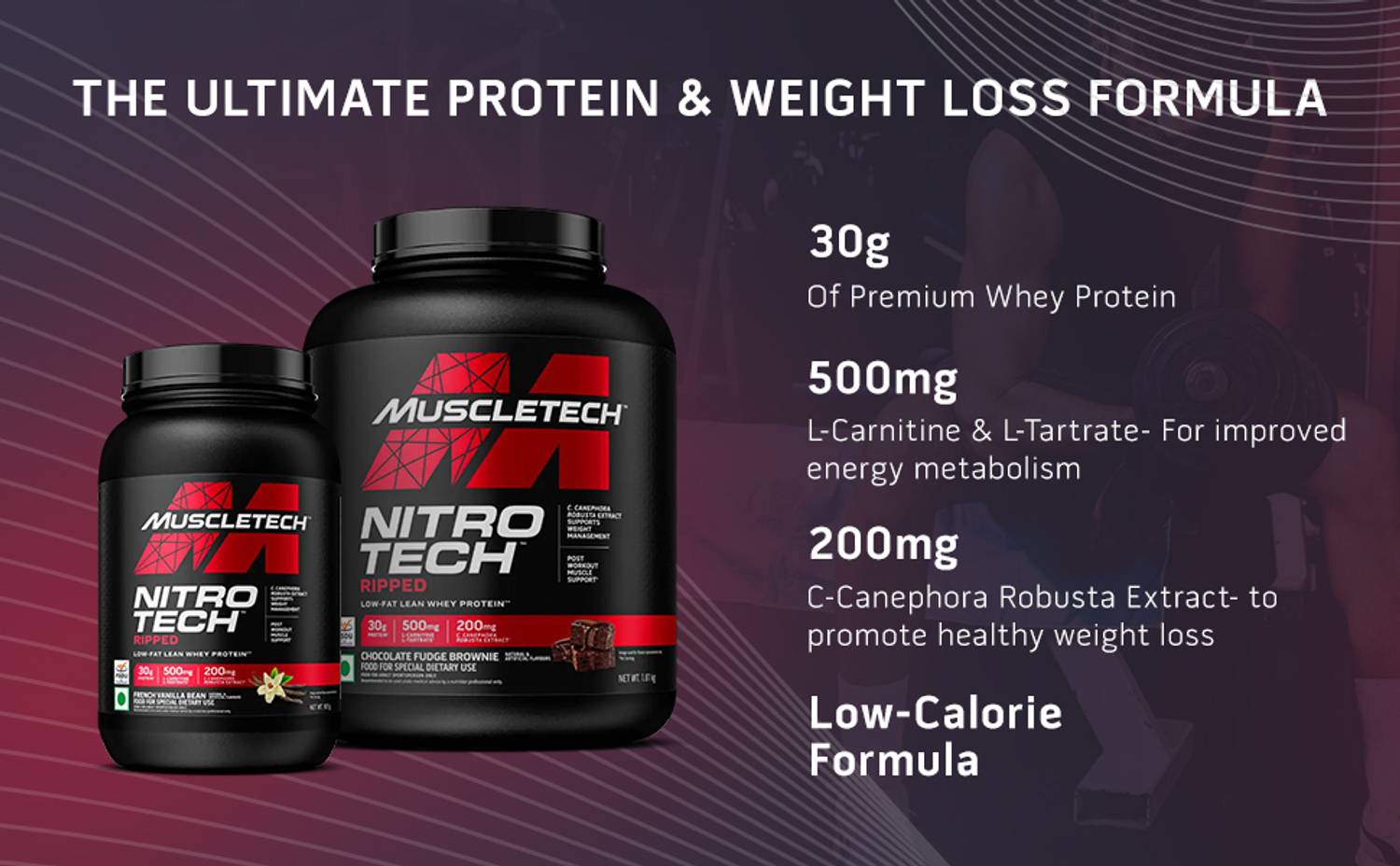 l carnitin liquid einnahme Liquid L-Carnitine
