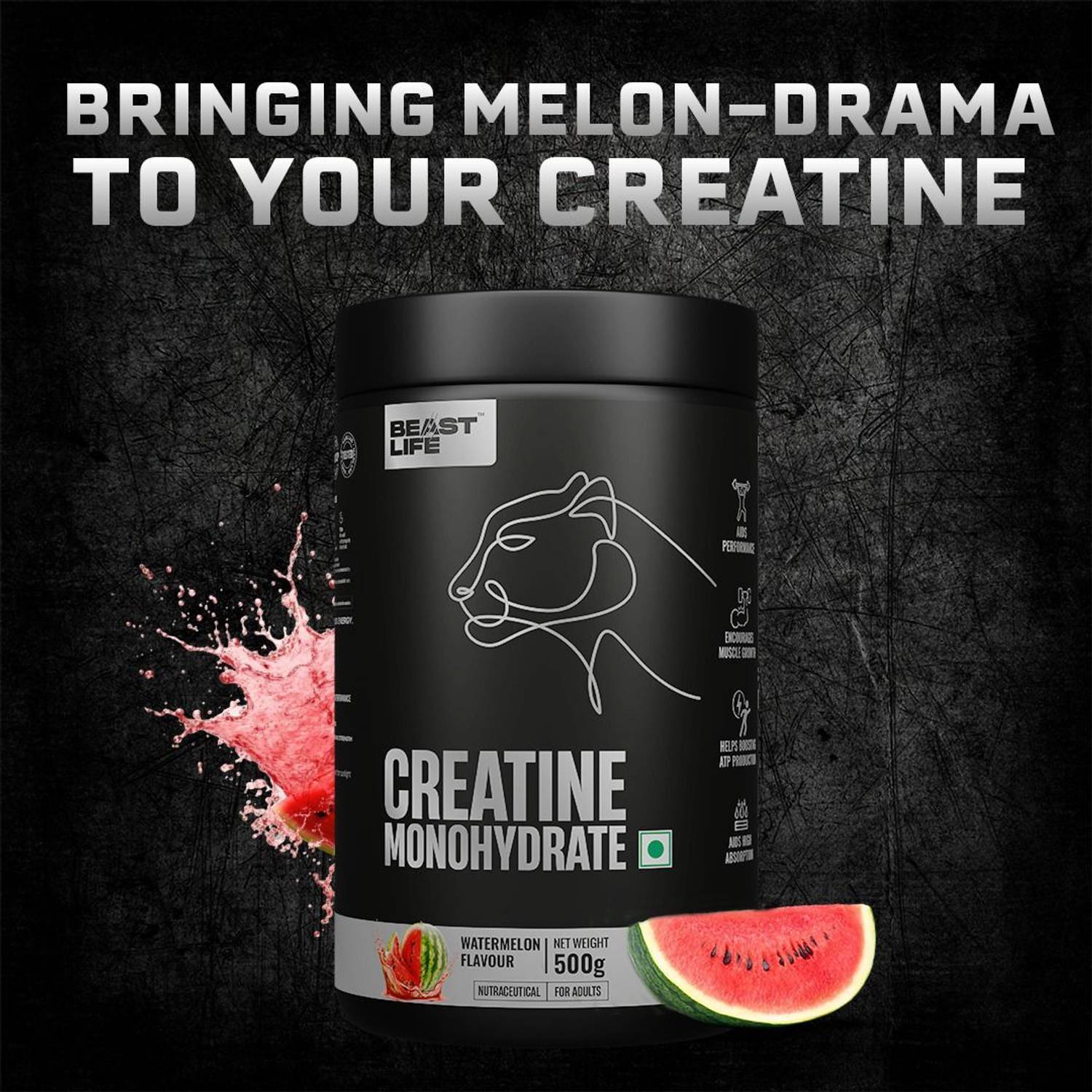 BeastLife Creatine Monohydrate 166 Servings Micronised - Image 2
