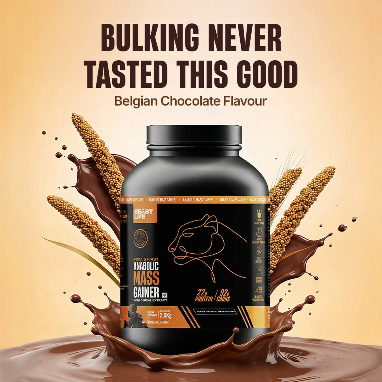 BeastLife High Rich Protein Gainer 2.5 kg - Image 2