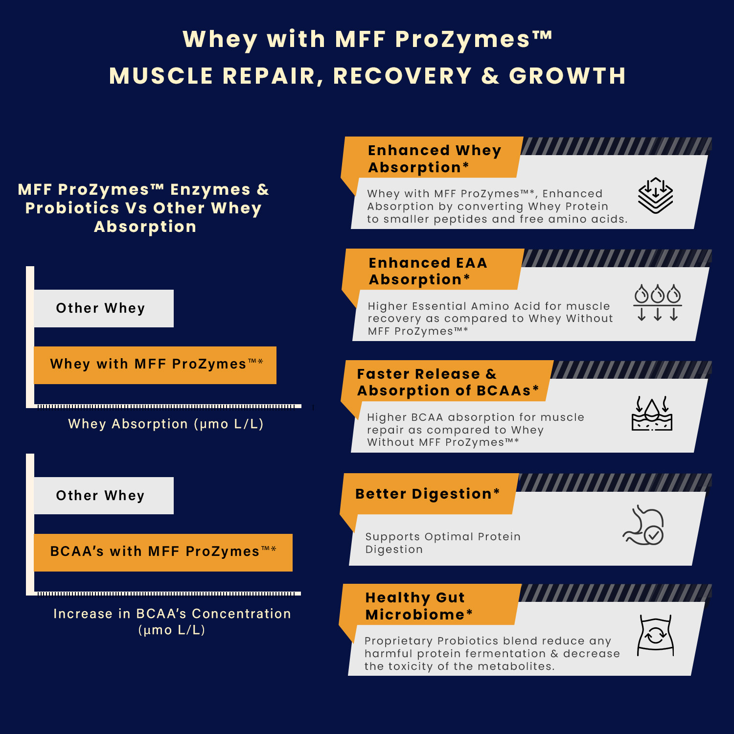 Image of MyFitFuel Elite ProZymes Whey Protein Isolate & Hydrolyzed. 25.5g Protein, 1Kg Chocolate Whey Protein