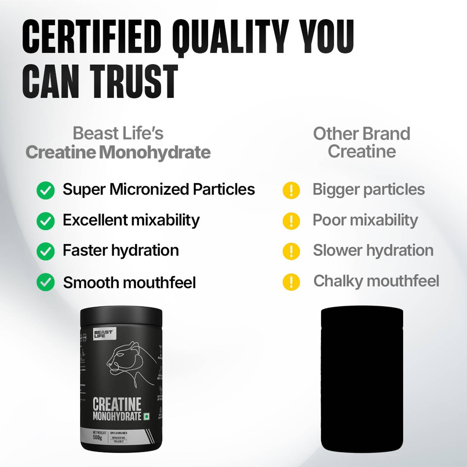 BeastLife Creatine Monohydrate 166 Servings - Image 3