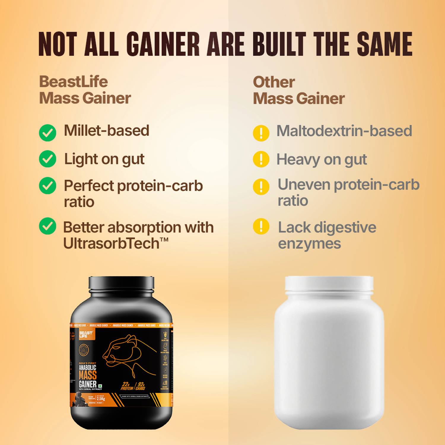 BeastLife High Rich Protein Gainer 2.5 kg - Image 3