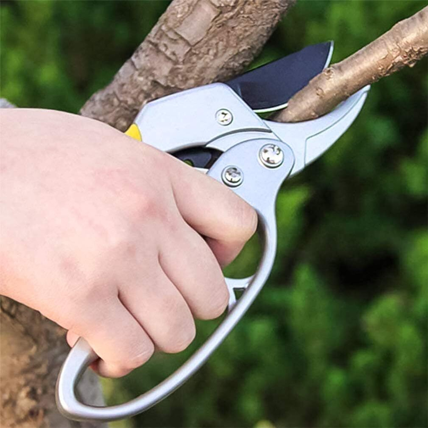 Image of NIYAMKAAY Gardening Scissor Stainless Steel Garden Snip with Safety Lock Garden Shears Sharp Cutter Pruners Scissor for Lawn, Garden & Potted Plants Bypass Pruner