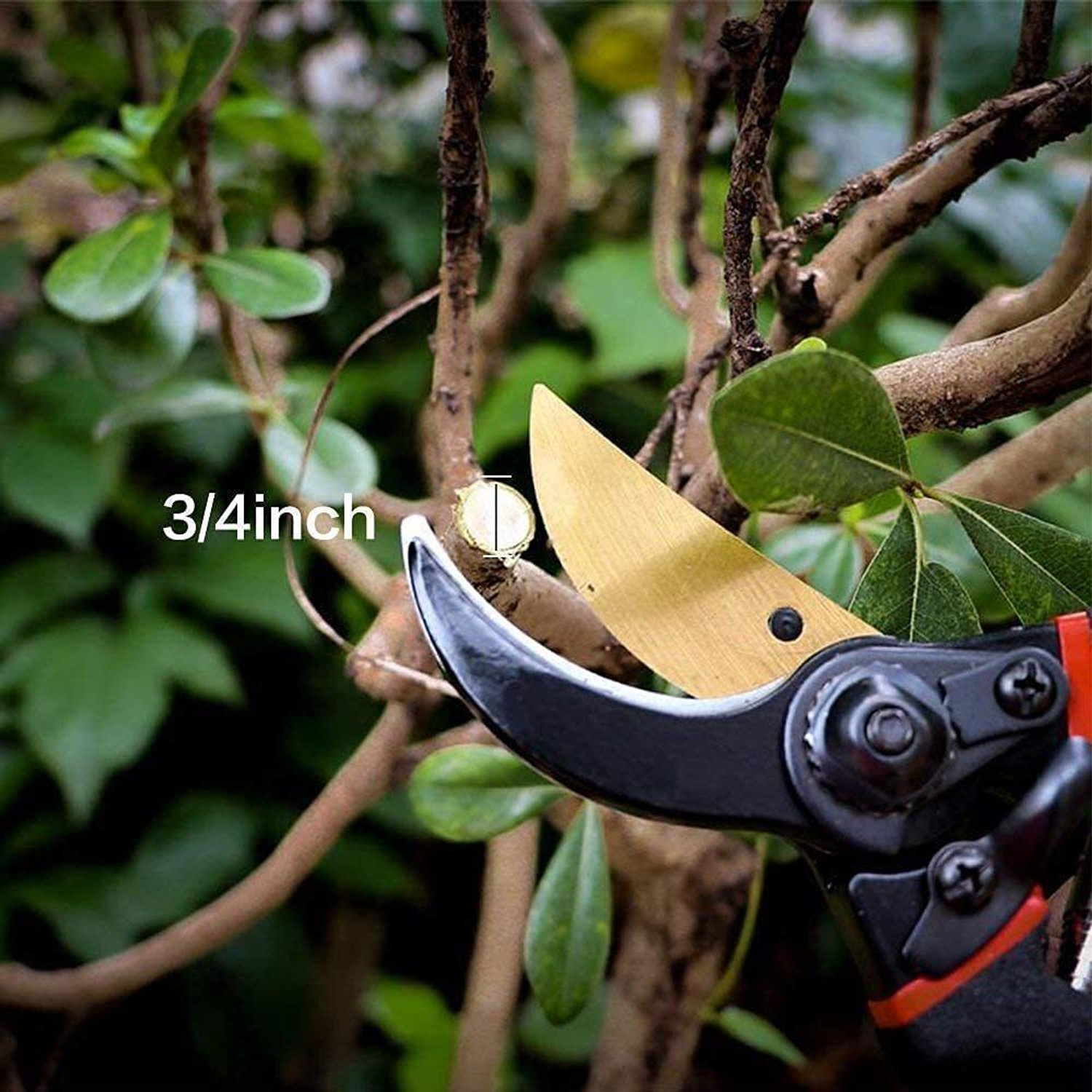 Image of Harboan Gardening Scissors Plants Scissor Gardening Cutter | Plant Cutter for Home Garden Bypass Pruner