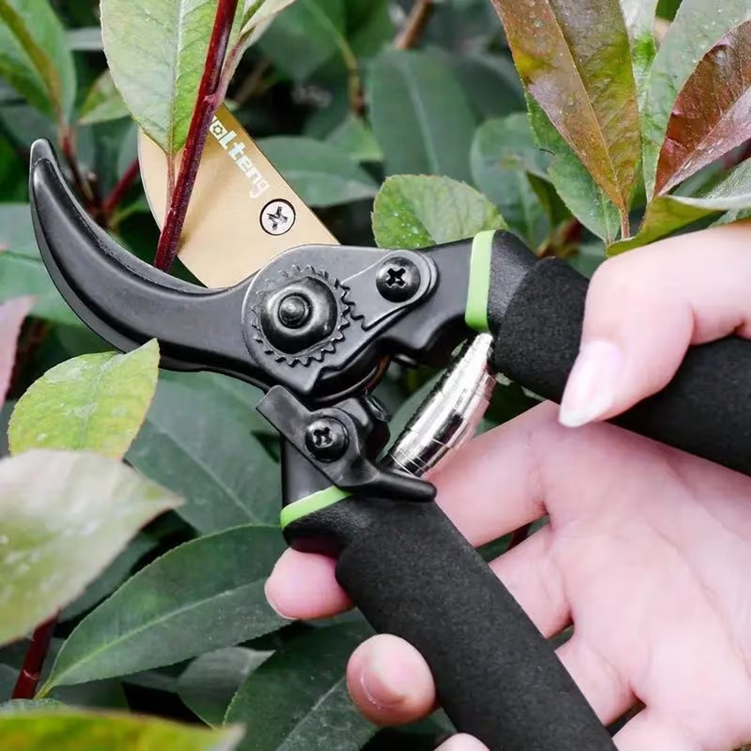 Image of Daccfy Gardening Scissors Plants Scissor Tree Branch Pruner Gardening Cutter Tool | Plant Cutter for Home Garden | Wood Branch Trimmer Bypass Pruner