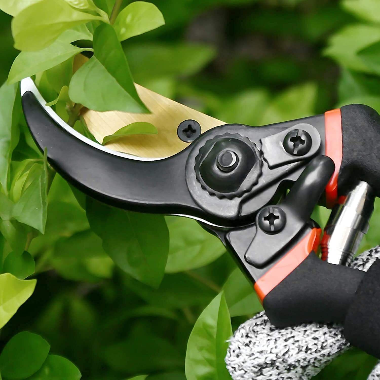Image of Harboan Gardening Scissors Plants Scissor Gardening Cutter | Plant Cutter for Home Garden Bypass Pruner