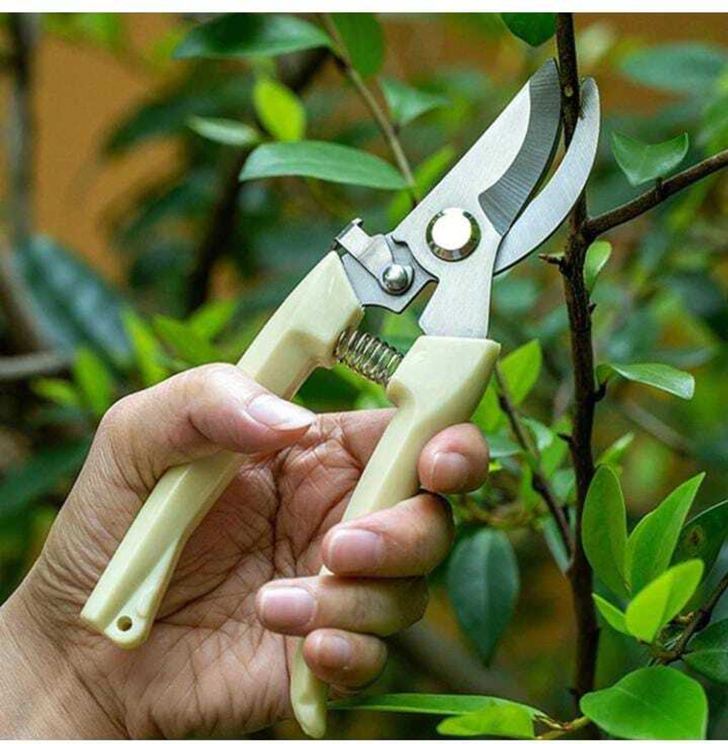 Image of Jiqop Flower Cutter and Grass Cutter | Gardening Pruning Shear | Pruning & Leaf Cutter Bypass Pruner