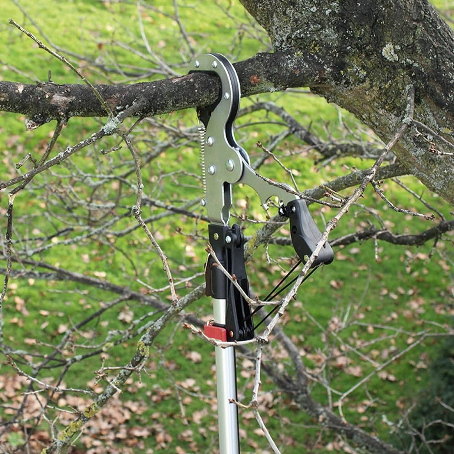 Verilux Manual Pole Pruner Head SK5 Steel - Image 3