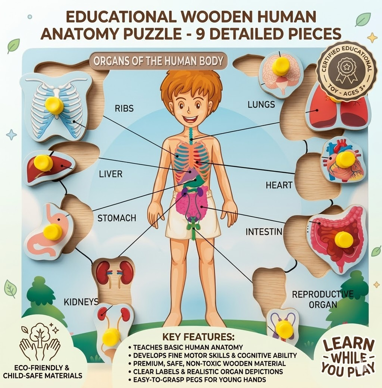Image of Alafi Wooden Human Body Parts & Organs Puzzle Toy for Kids