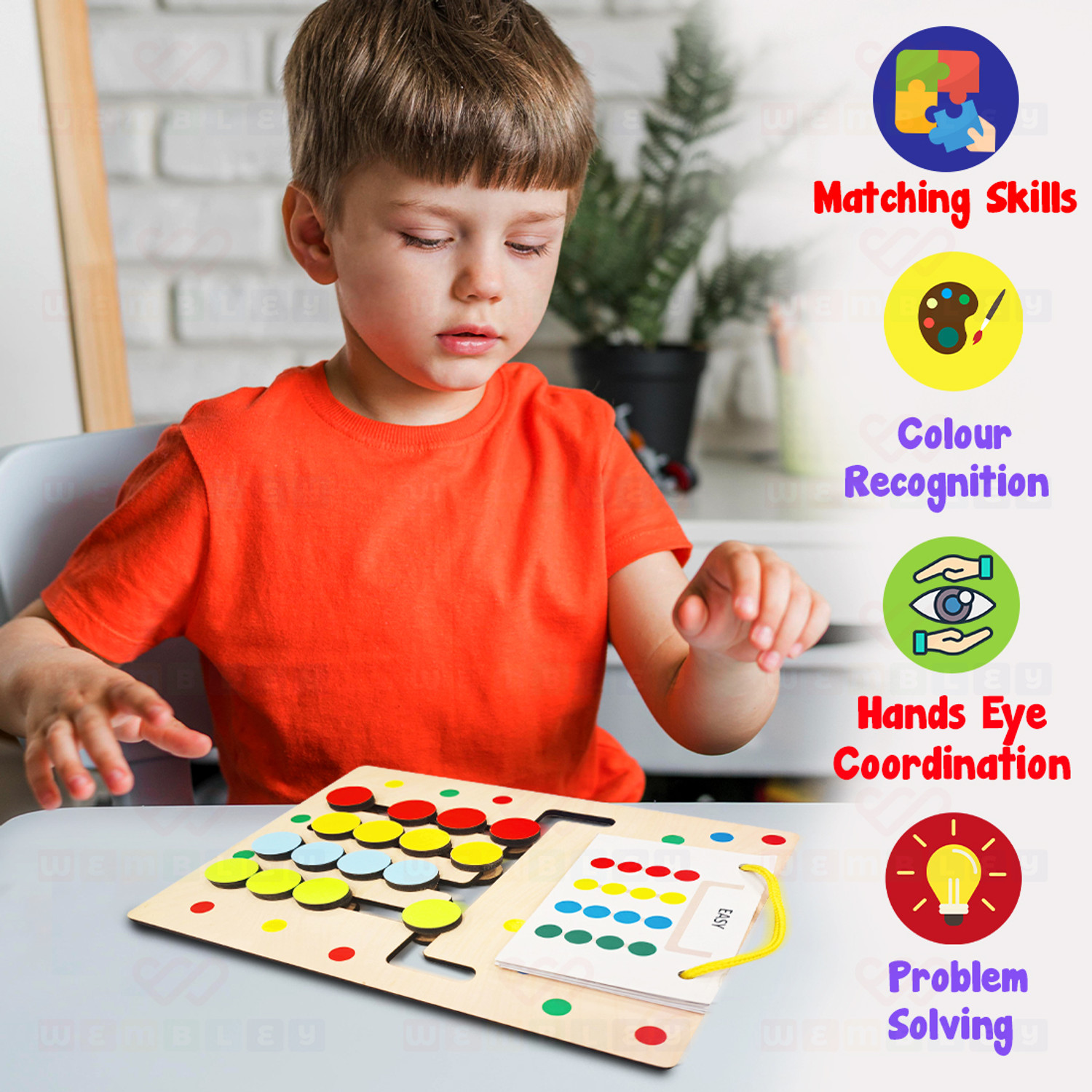 Image of Wembley Montessori Puzzle Game Learning Toy