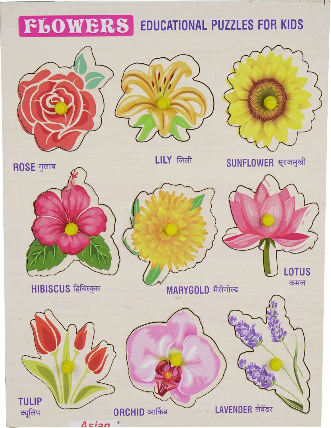 asian Wooden puzzle game for kids Flowers name