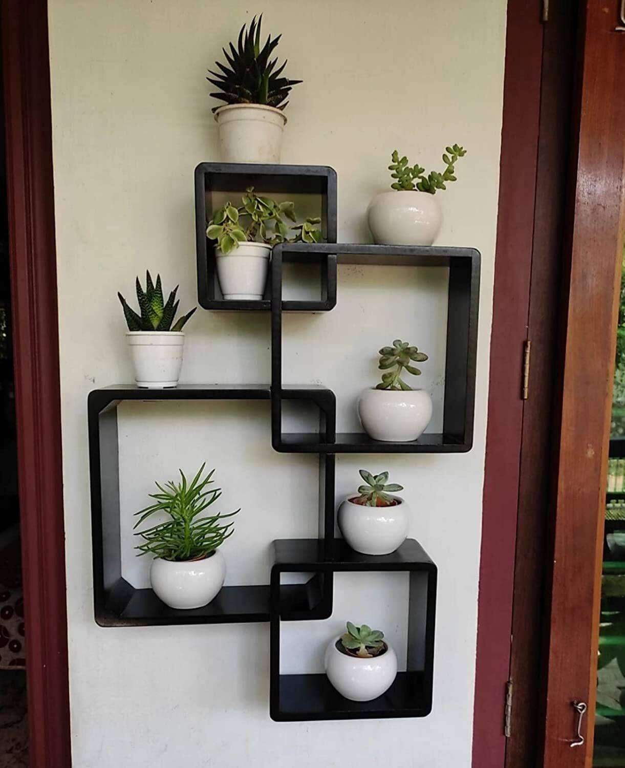 THE PINEWOOD ENTERPRISES Wooden Wall Rack Stand for Living Room,