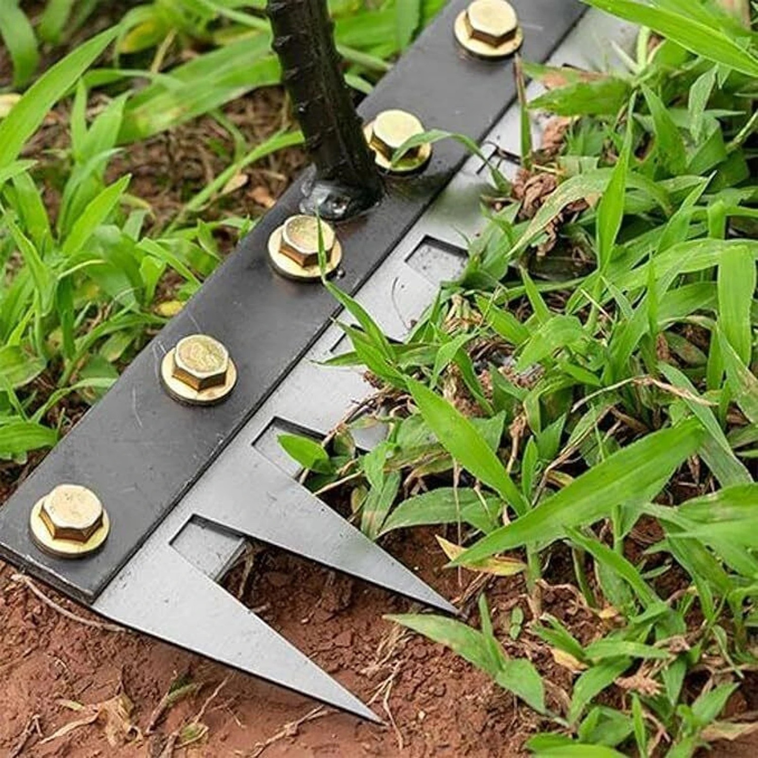 Image of SAS leaf rake garden rake weeding rake Garden rake