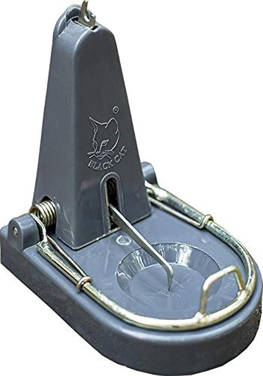 Image of Black Cat Standard Rat Trap:Mouse Catch Pack Of 2 Live Trap