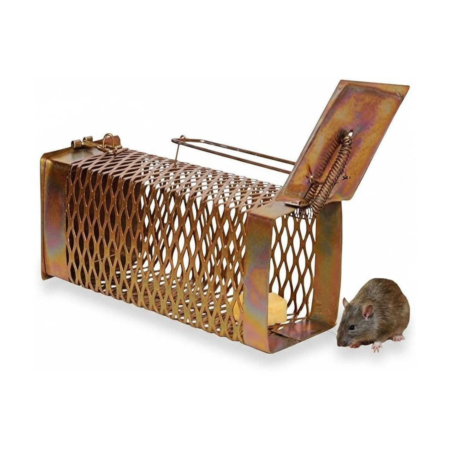 Image of ROPESTORE HJDKS-9IO4KKE Live Trap