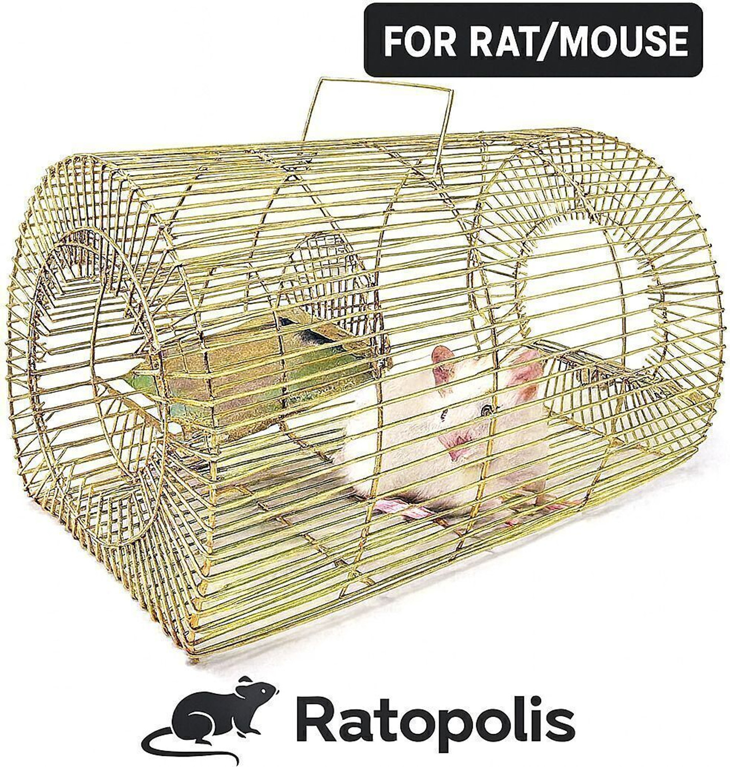 Image of RATOPOLIS Mouse /Rat Trap for catching Small & Large Size Rats Live Trap